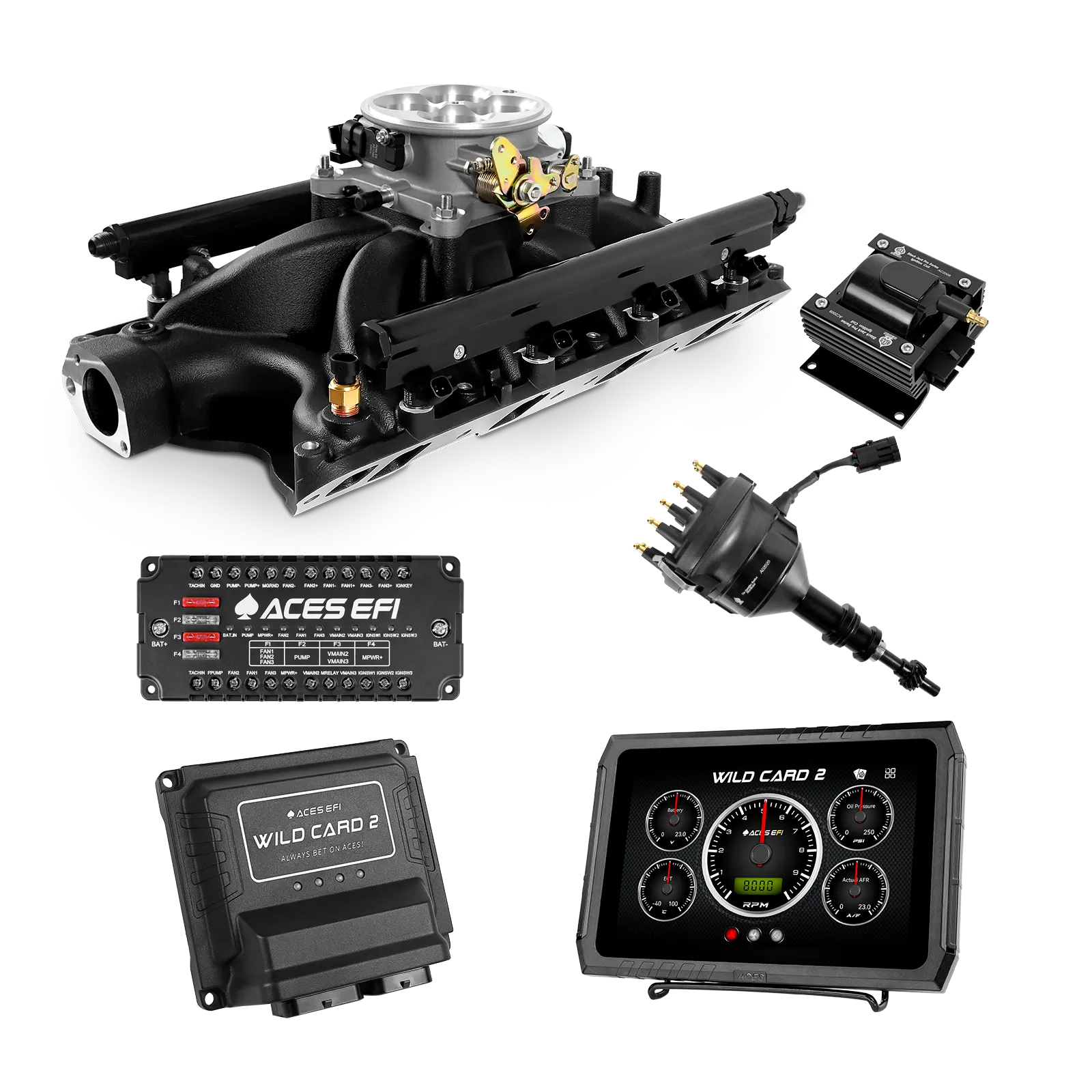 Wild Card 2 EFI - Top End Kits