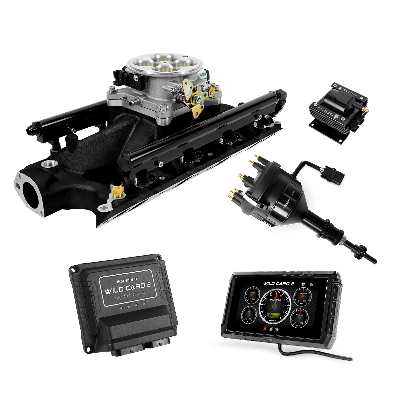 Wild Card EFI - Top End Kits
