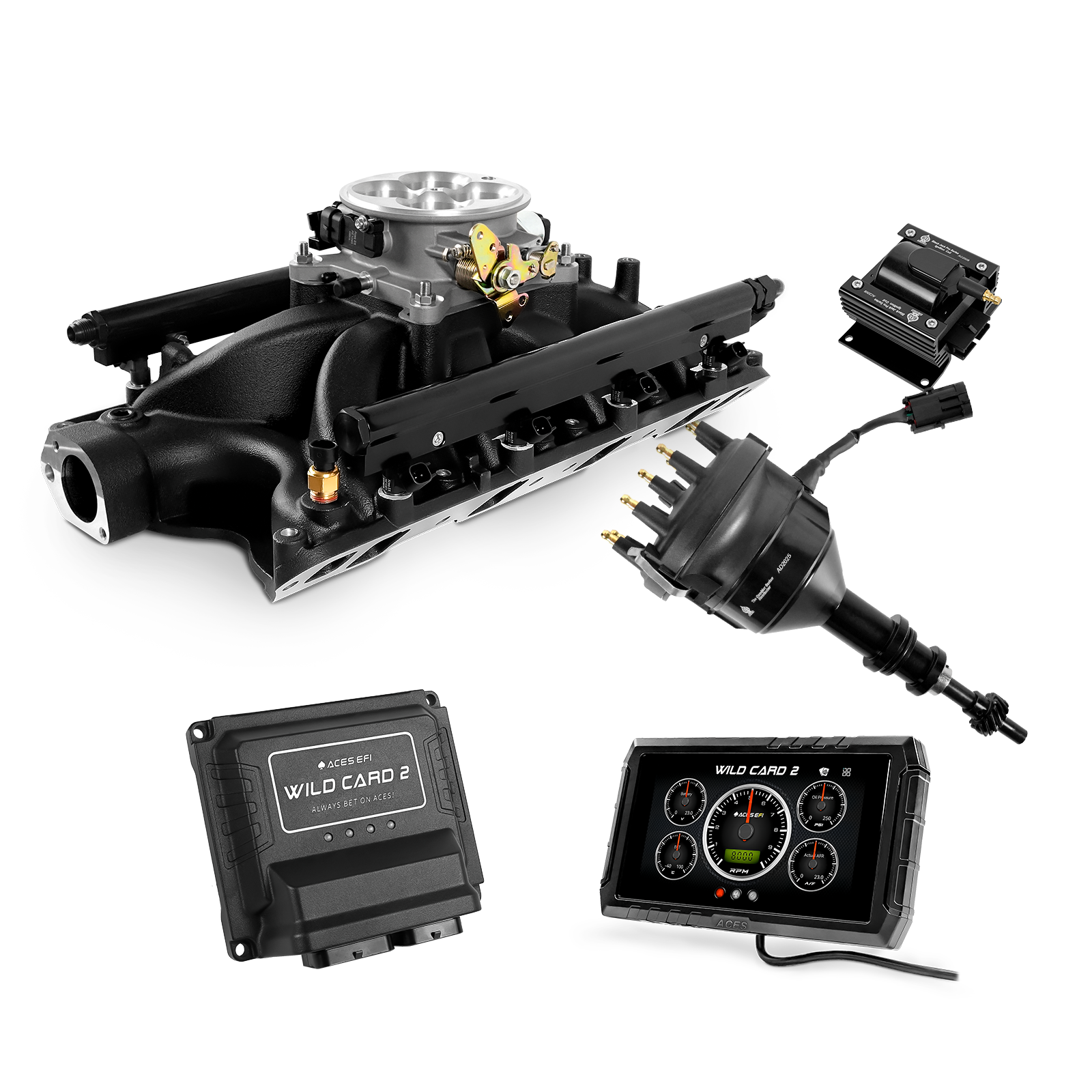 Wild Card EFI - Top End Kits