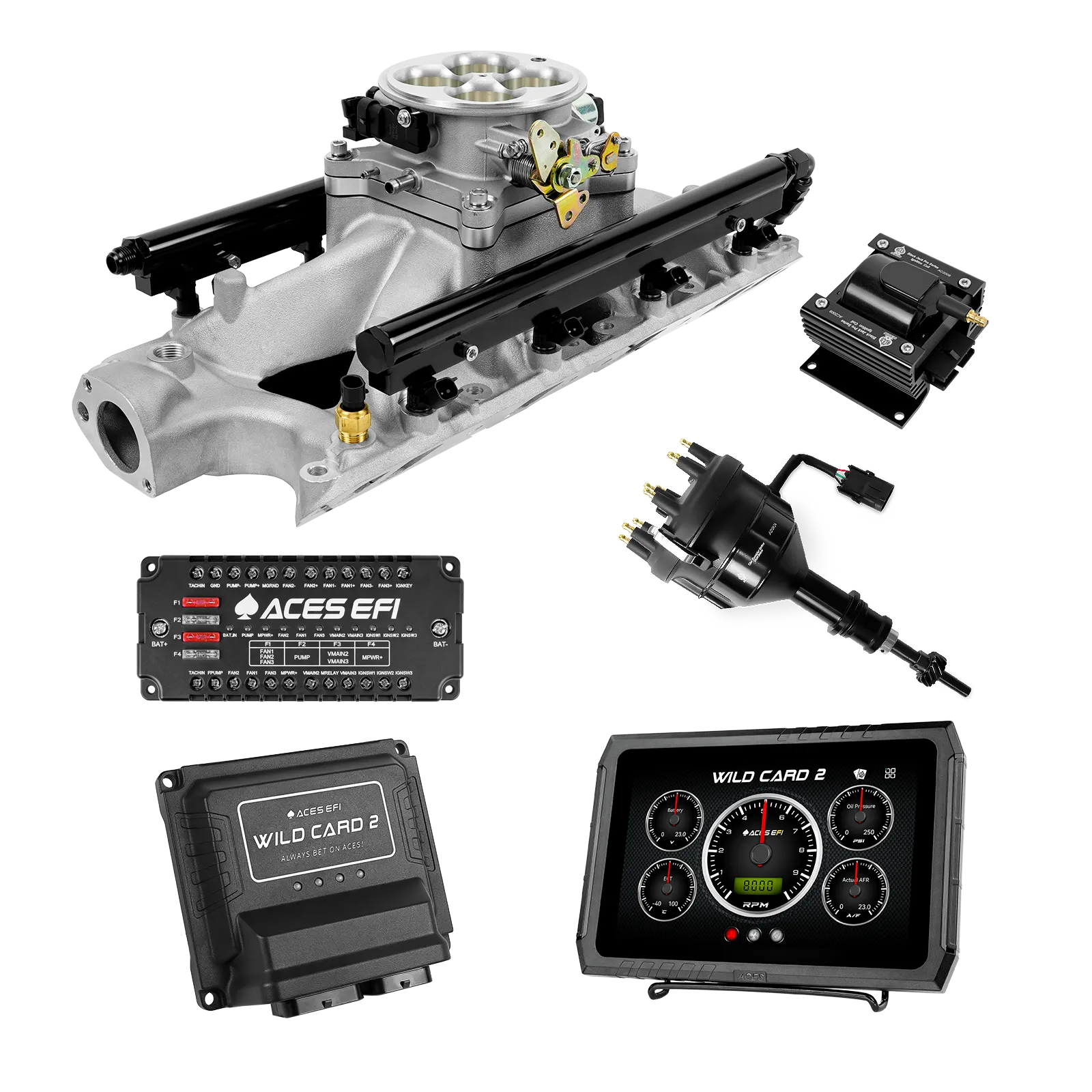 Wild Card 2 EFI - Top End Kits