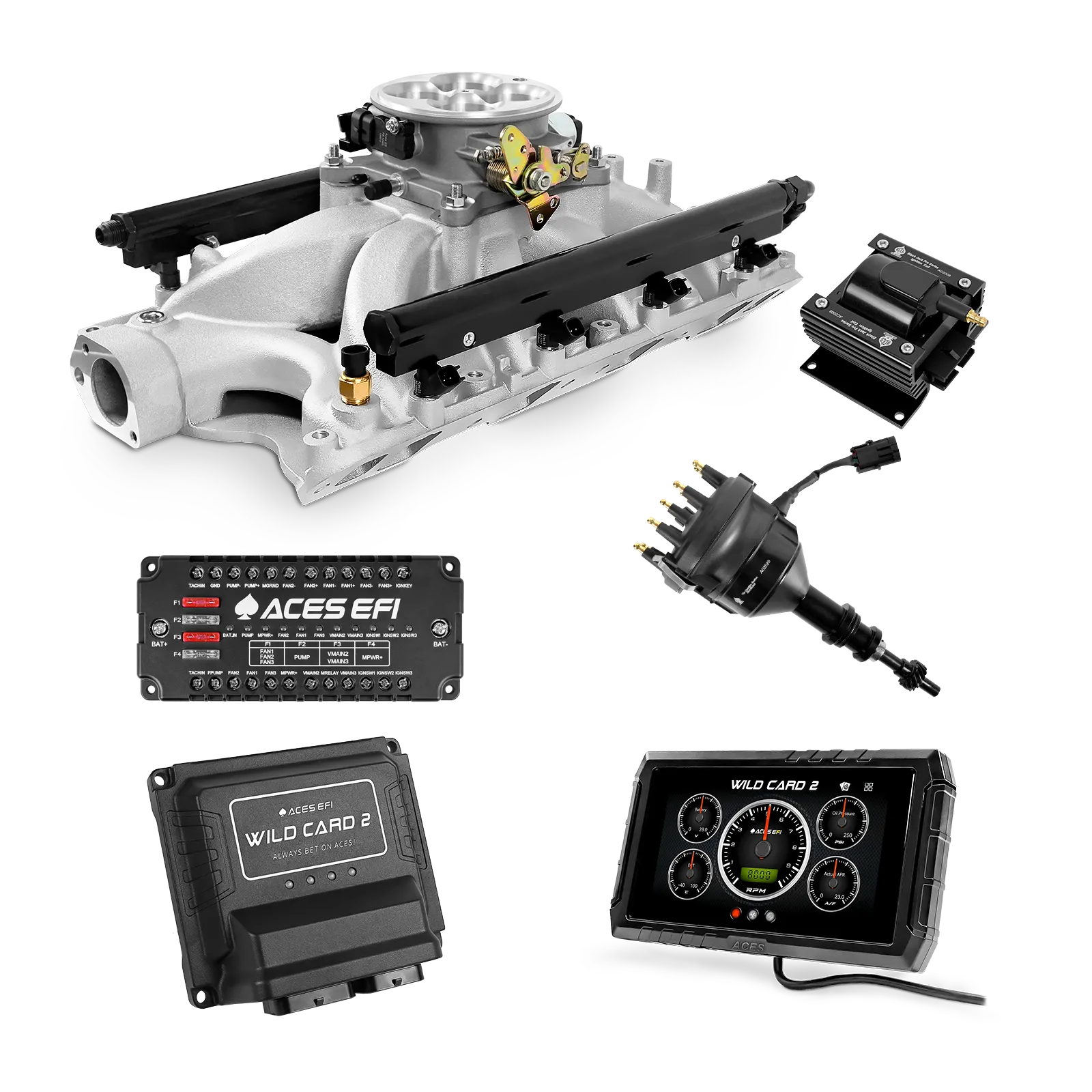 Wild Card 2 EFI - Top End Kits