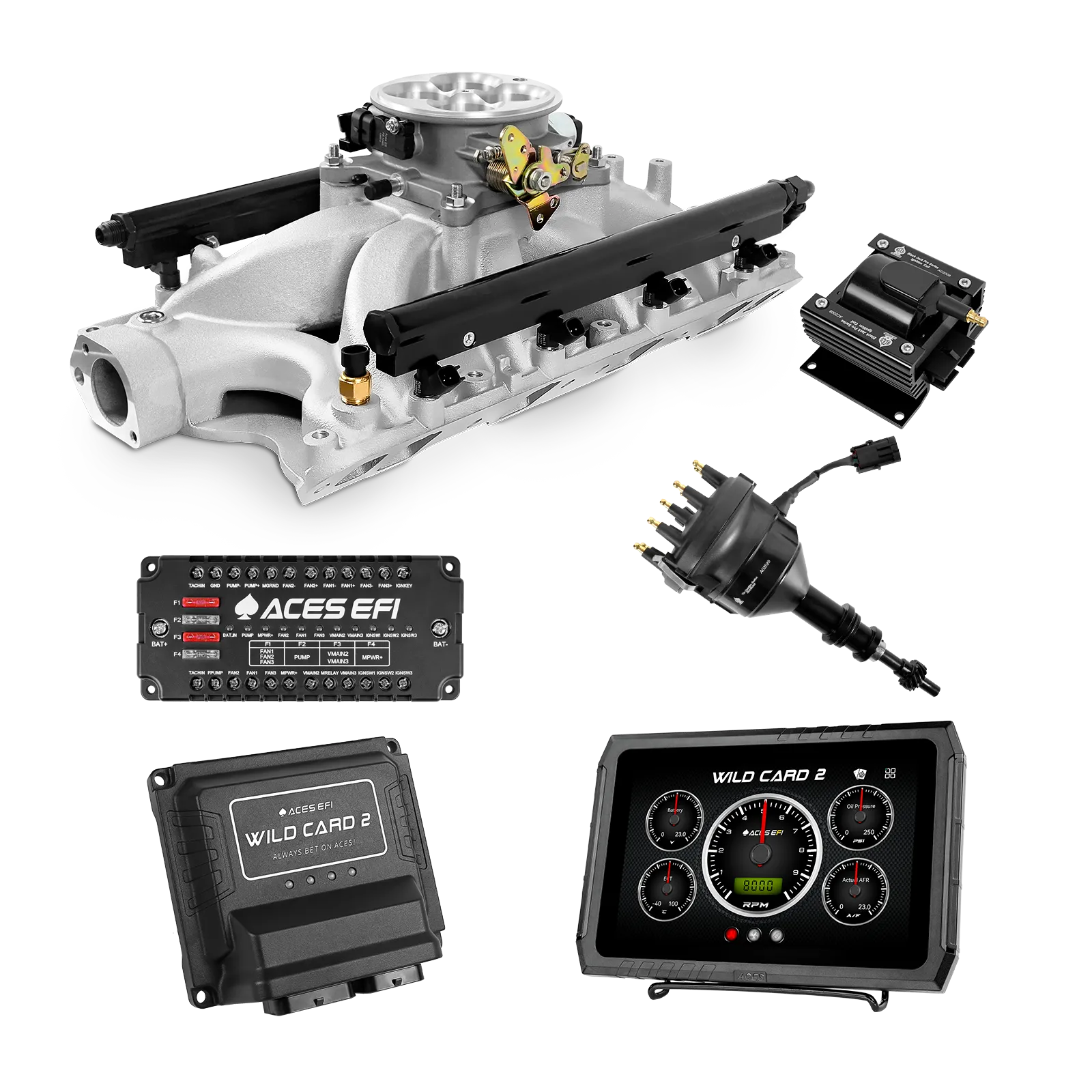 Wild Card 2 EFI - Top End Kits