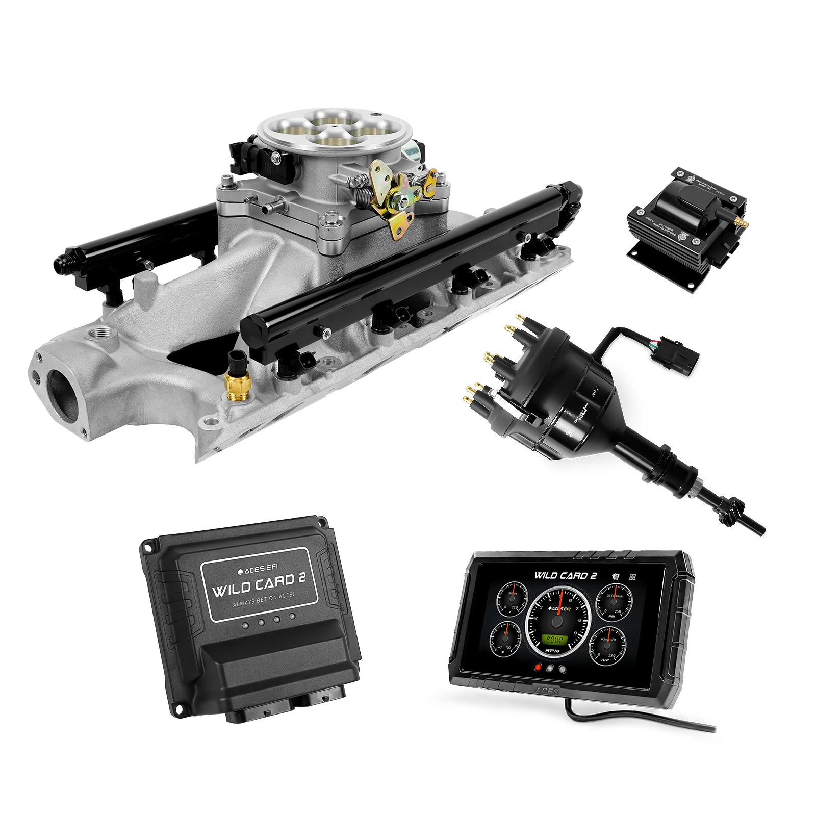 Wild Card EFI - Top End Kits