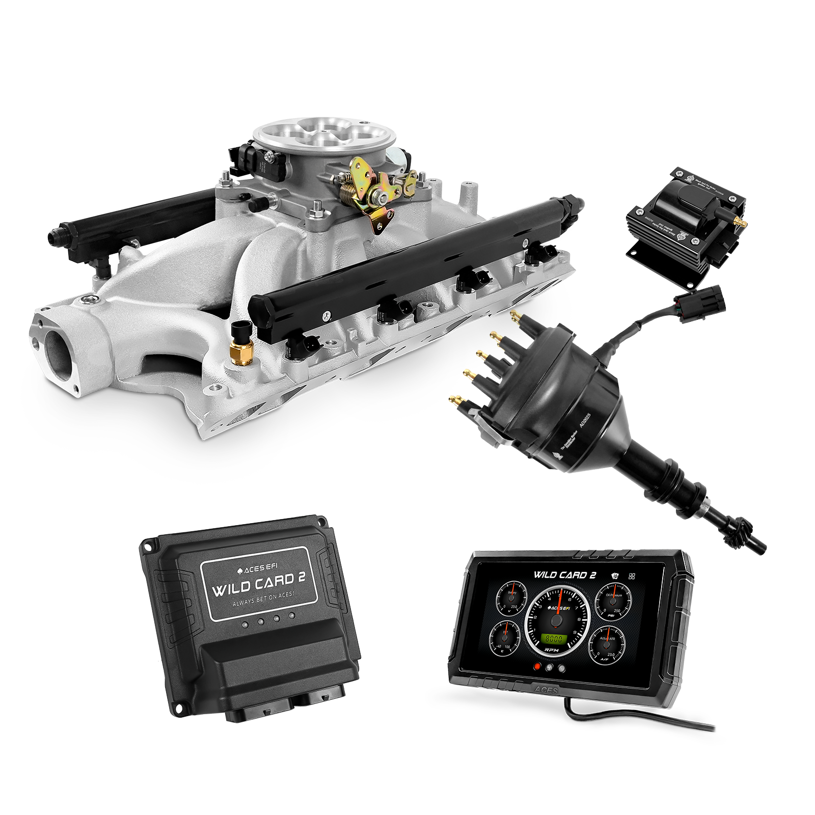 Wild Card EFI - Top End Kits