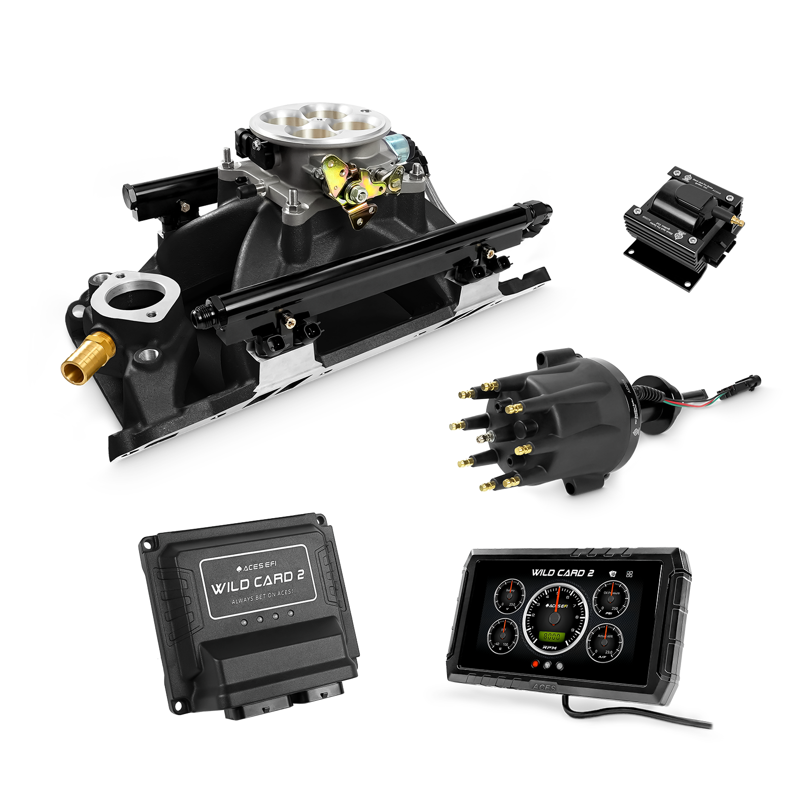 Wild Card EFI - Top End Kits