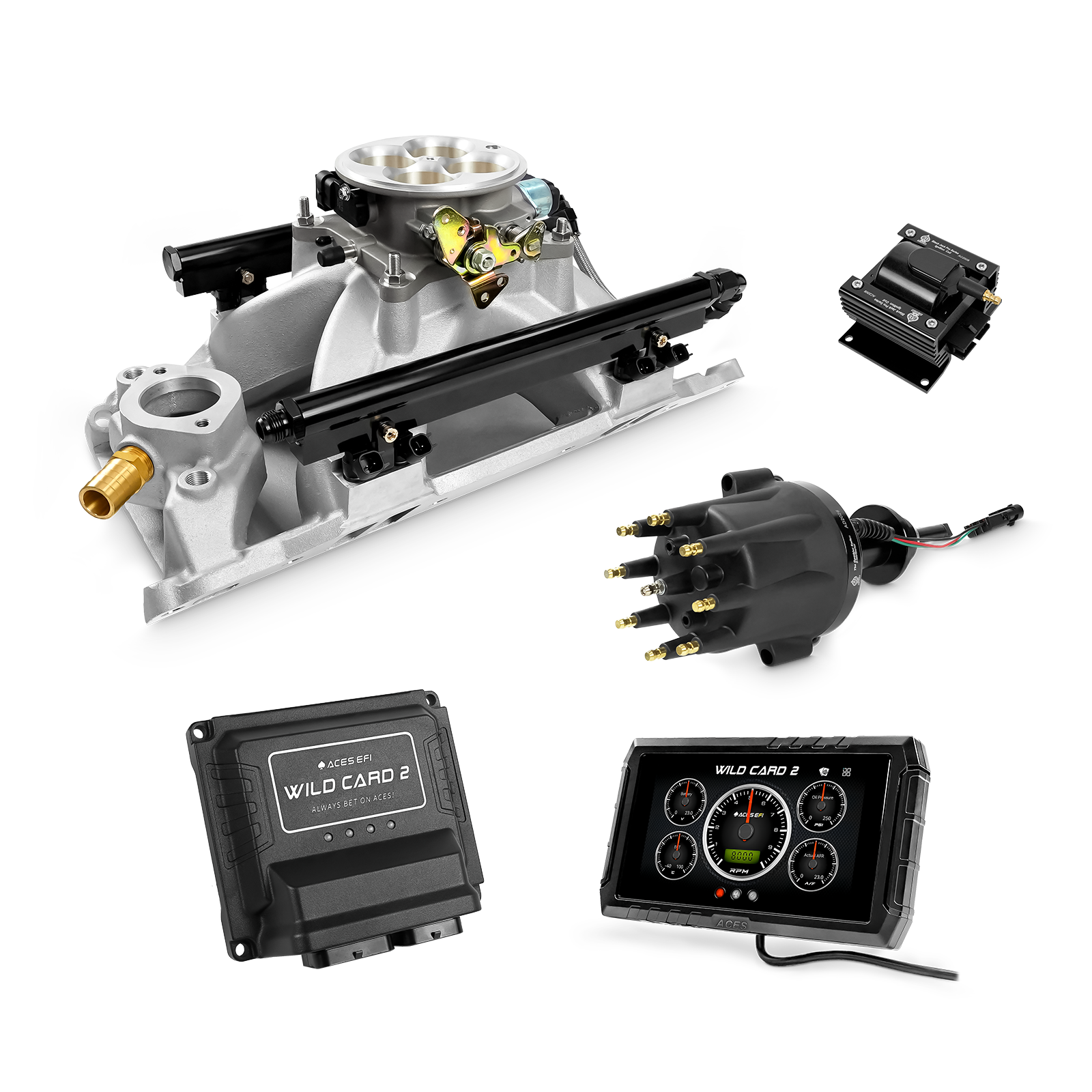 Wild Card EFI - Top End Kits