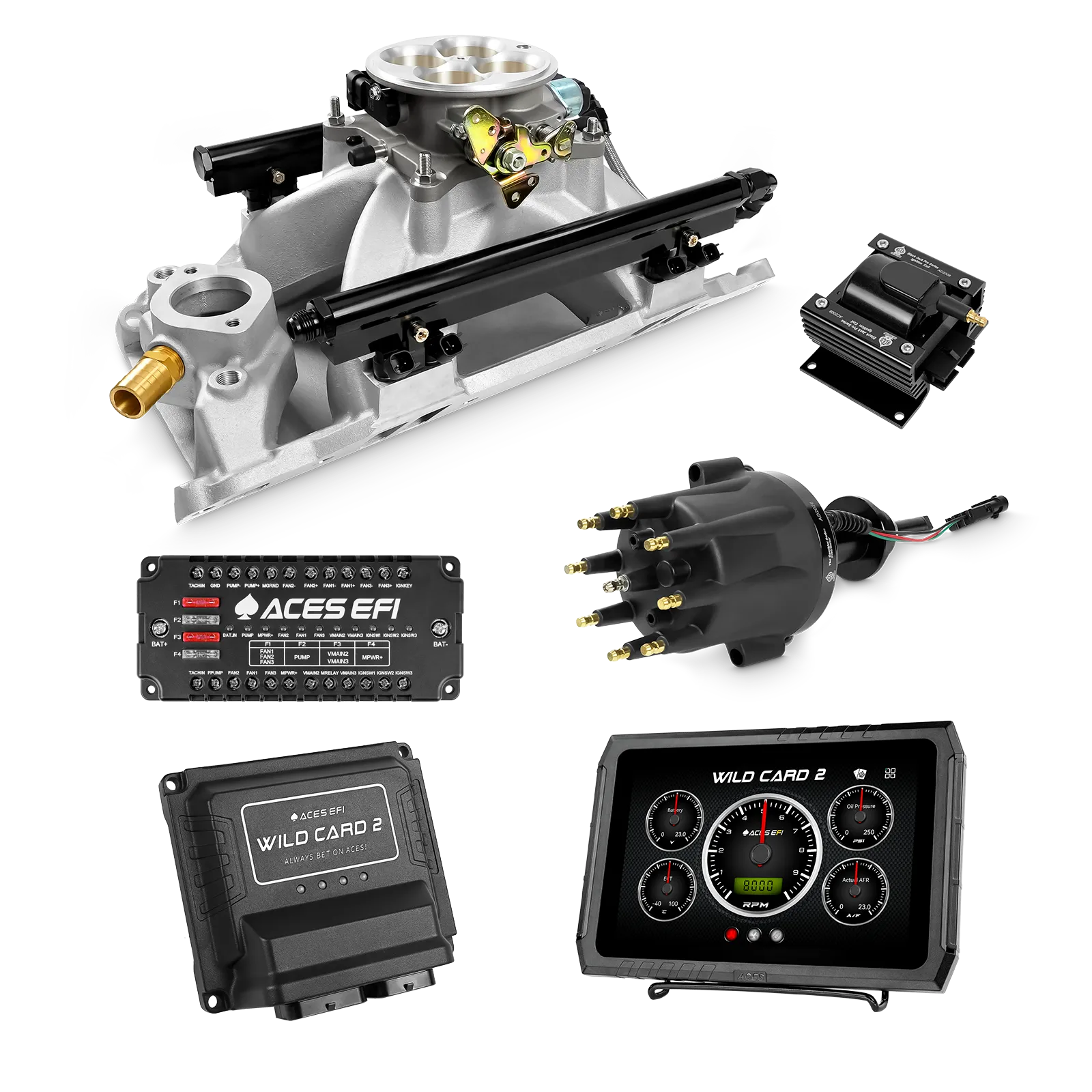 Wild Card 2 EFI - Top End Kits