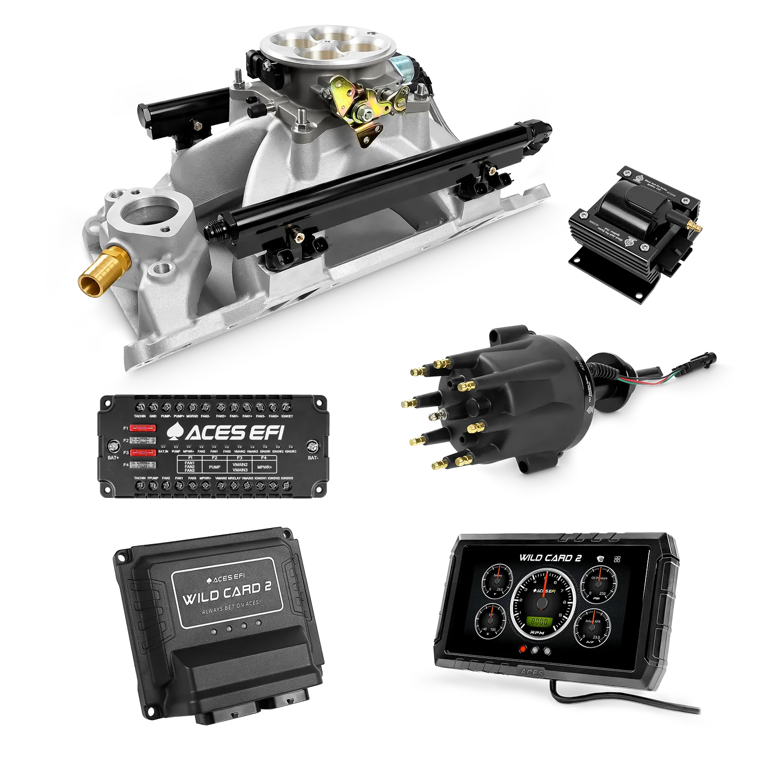 Wild Card 2 EFI - Top End Kits
