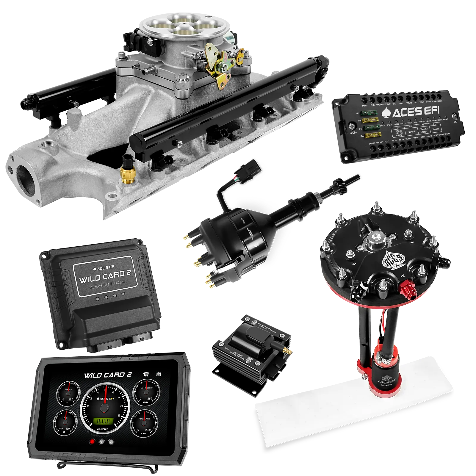 Kits maestros EFI secuenciales Wild Card 2 (500 CV)