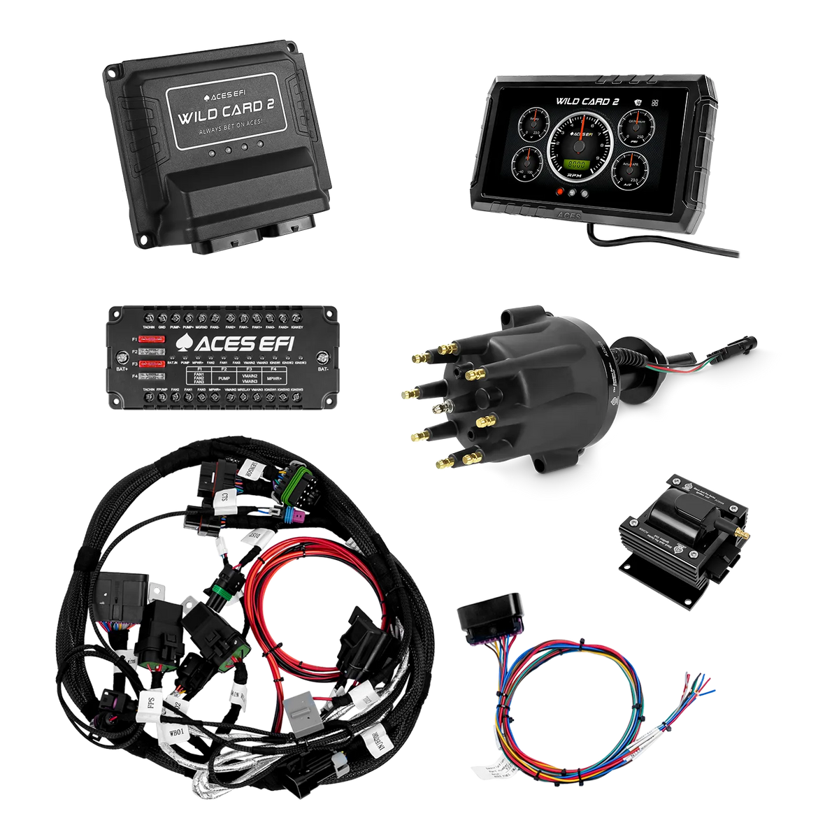 Wild Card 2 Sequential EFI (Standalone)