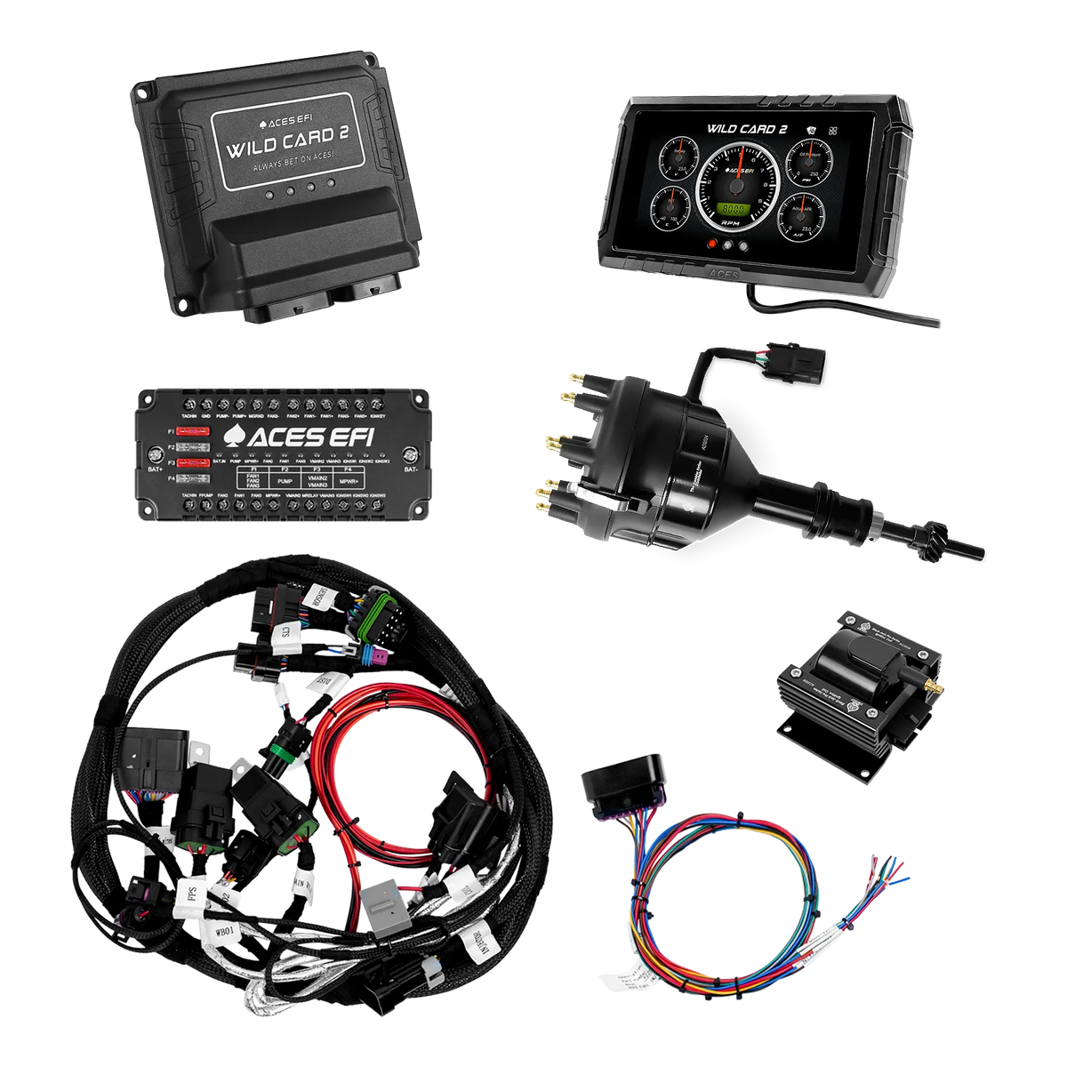 Wild Card 2 Sequential EFI (Standalone)