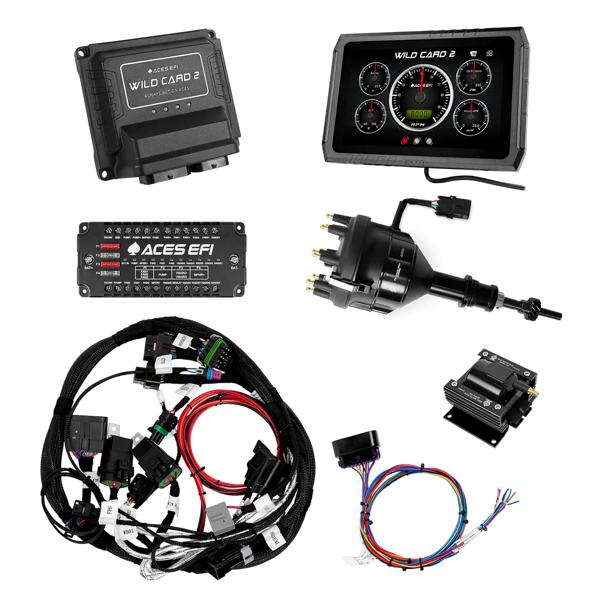Wild Card 2 Sequential EFI (Standalone)
