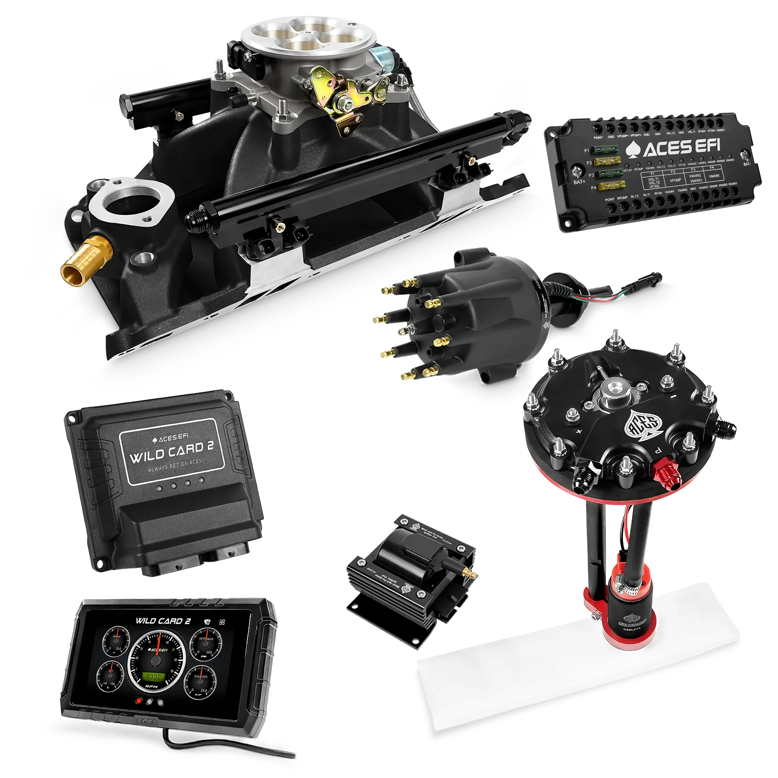 Kits maestros EFI secuenciales Wild Card 2 (800 CV)