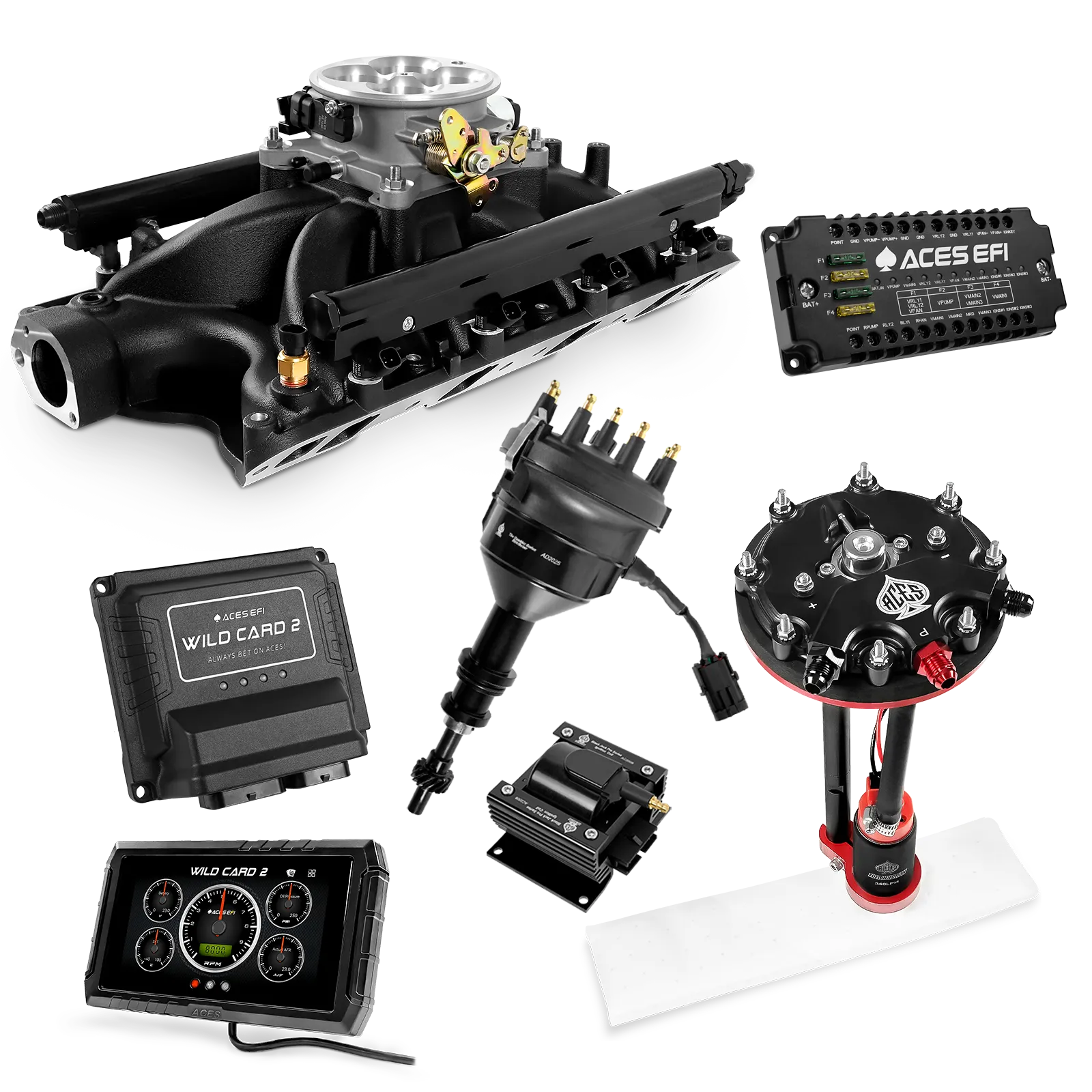 Kits maestros EFI secuenciales Wild Card 2 (800 CV)