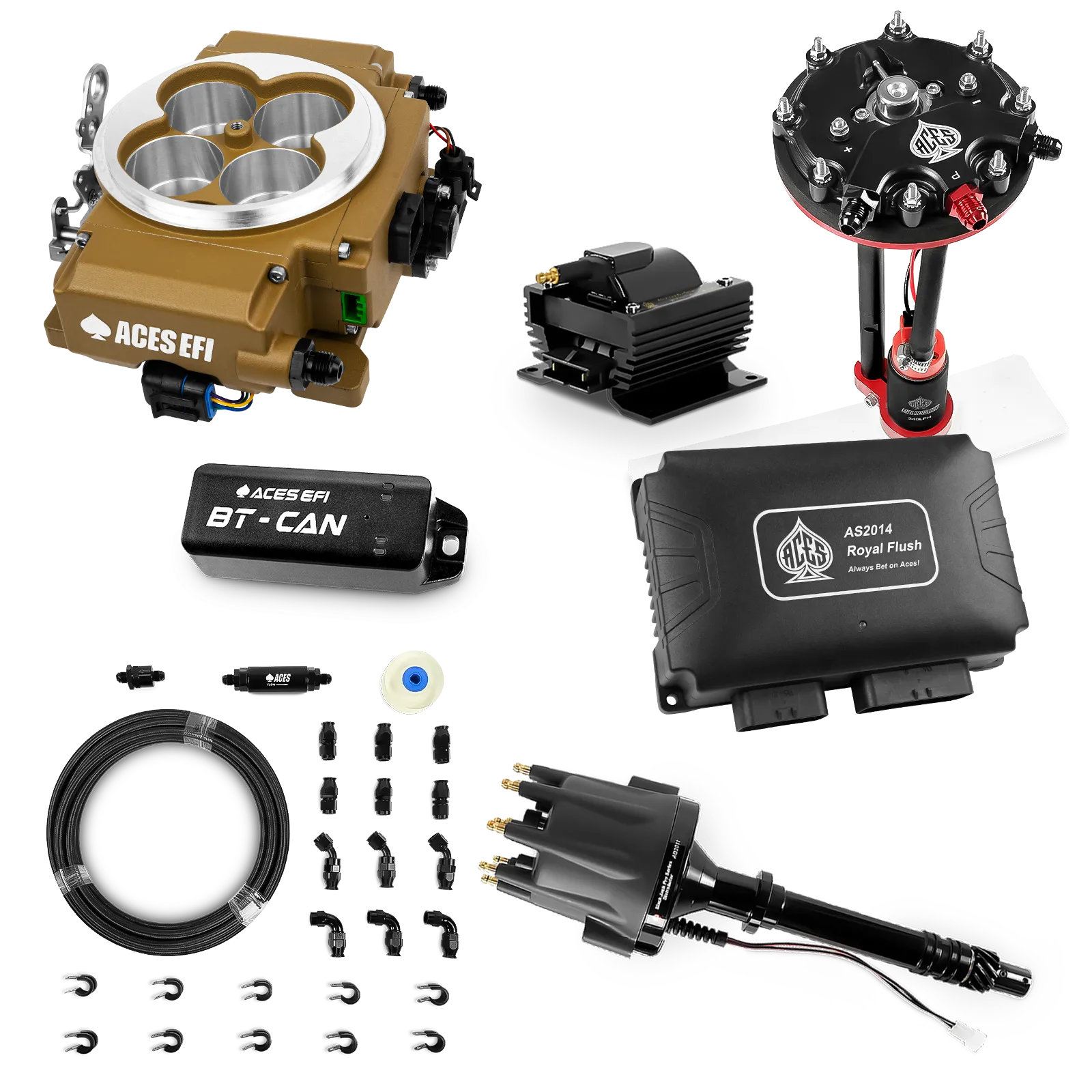 Kits maestros de Royal Flush (Oro)