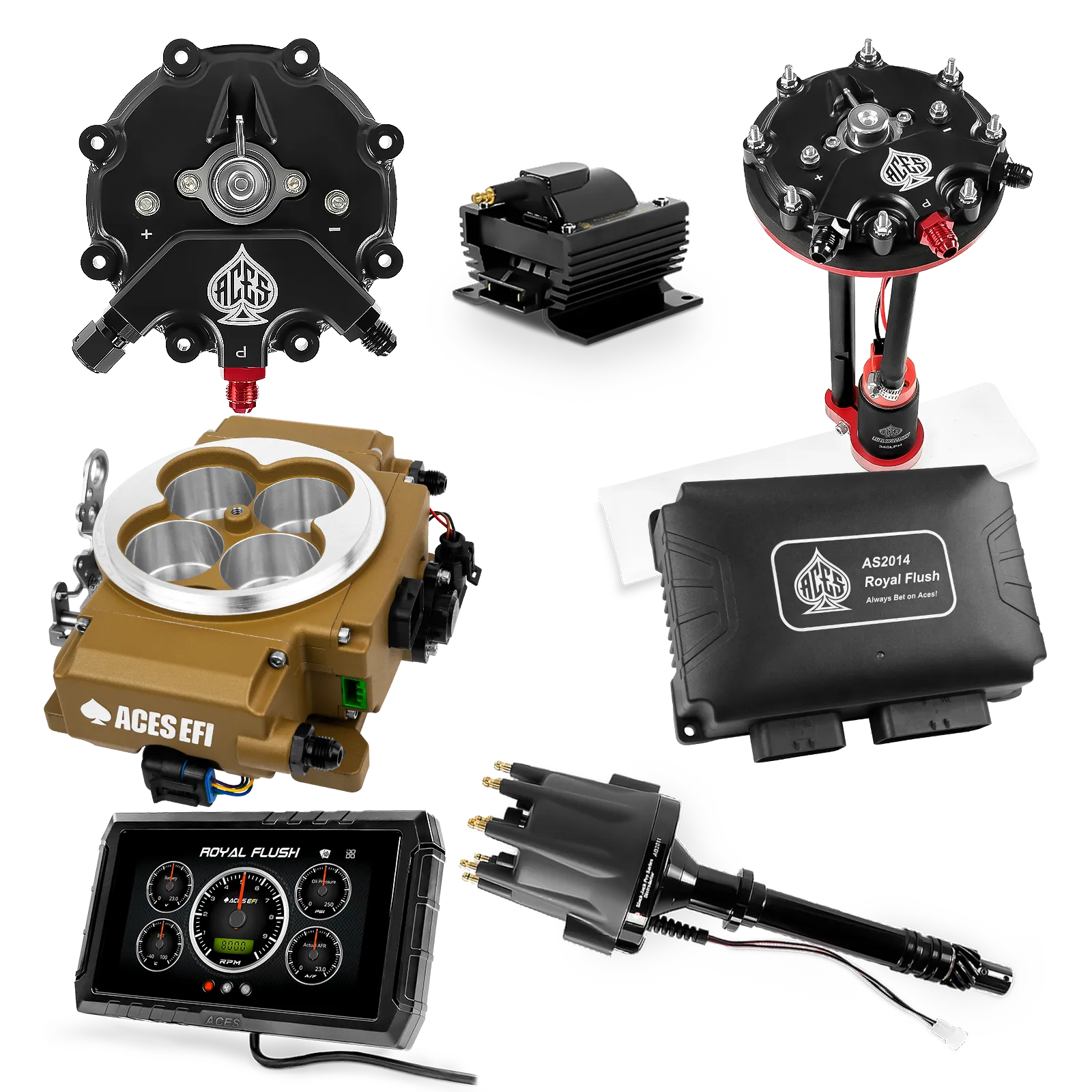 Kits maestros de Royal Flush (Oro)