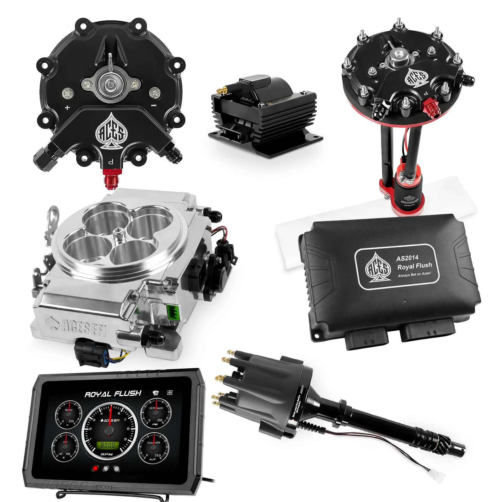 Kits maestros de Royal Flush (pulidos)