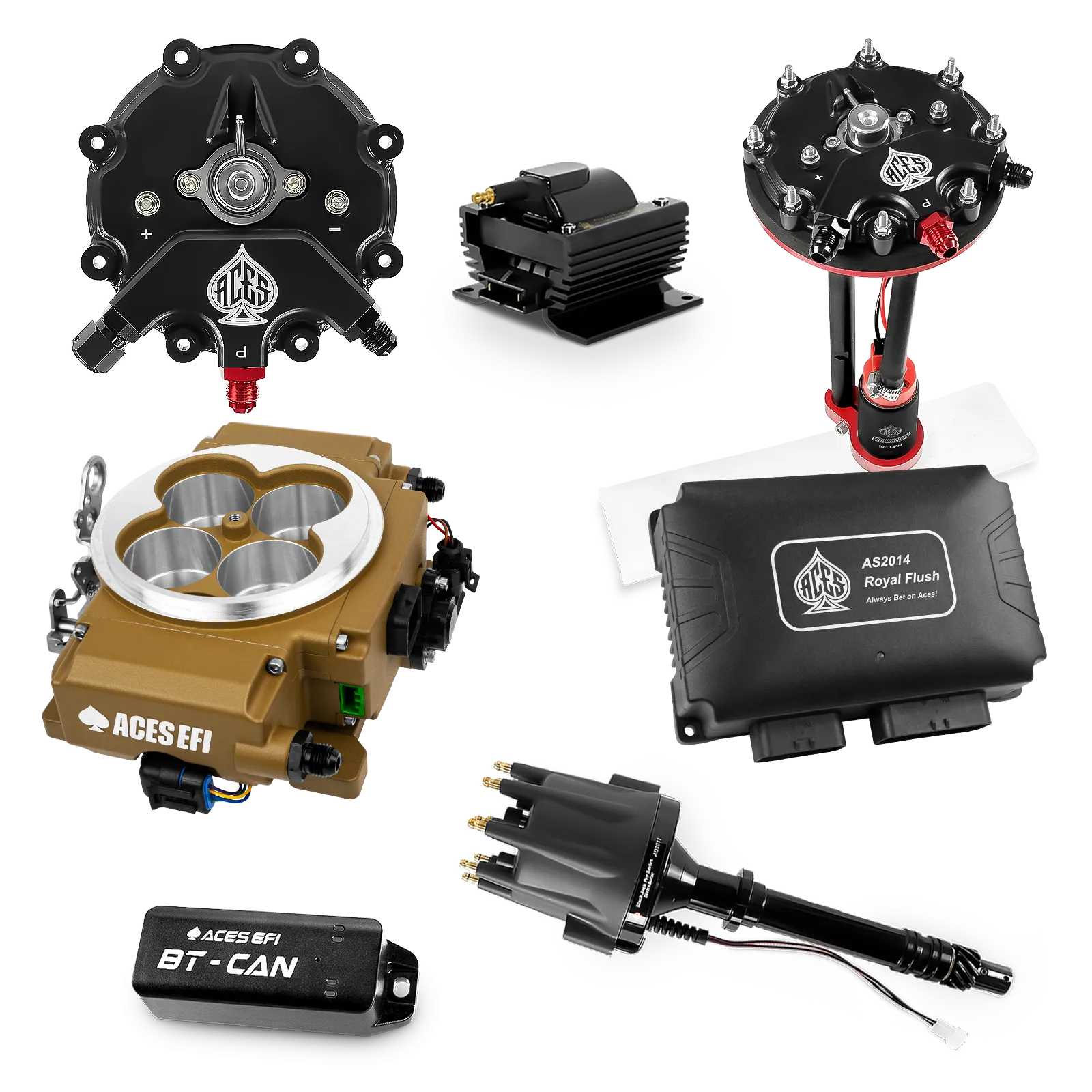 Kits maestros de Royal Flush (Oro)