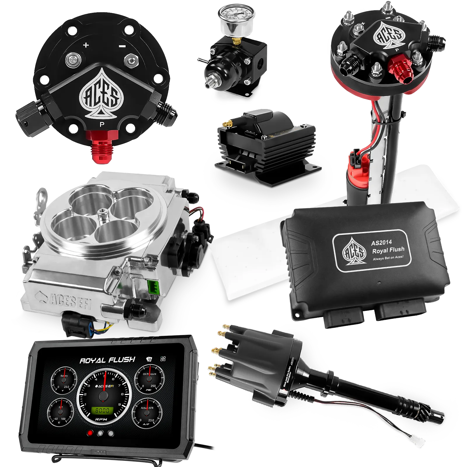 Kits maestros de Royal Flush (pulidos)