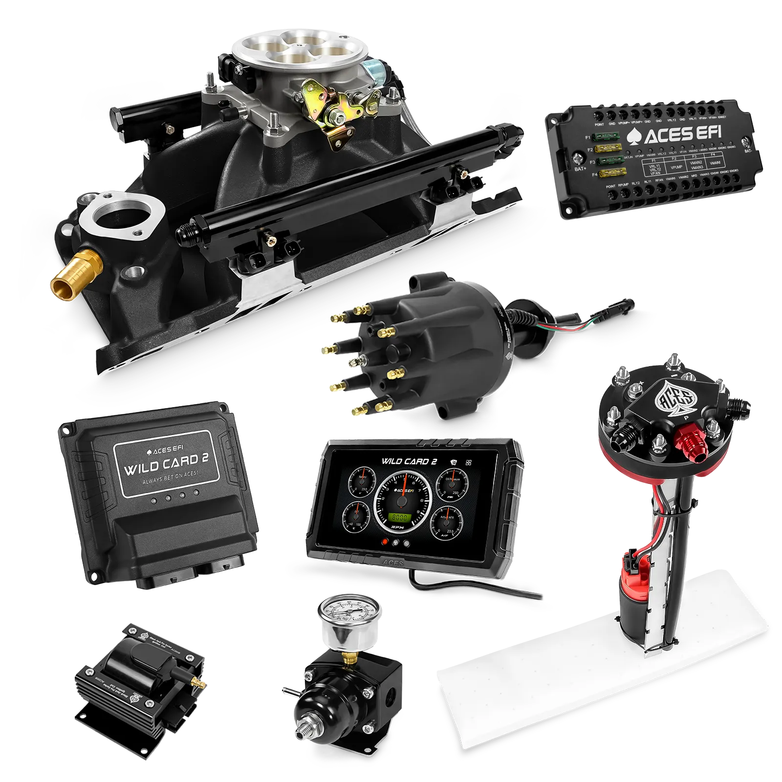 Kits maestros EFI secuenciales Wild Card 2 (800 CV)