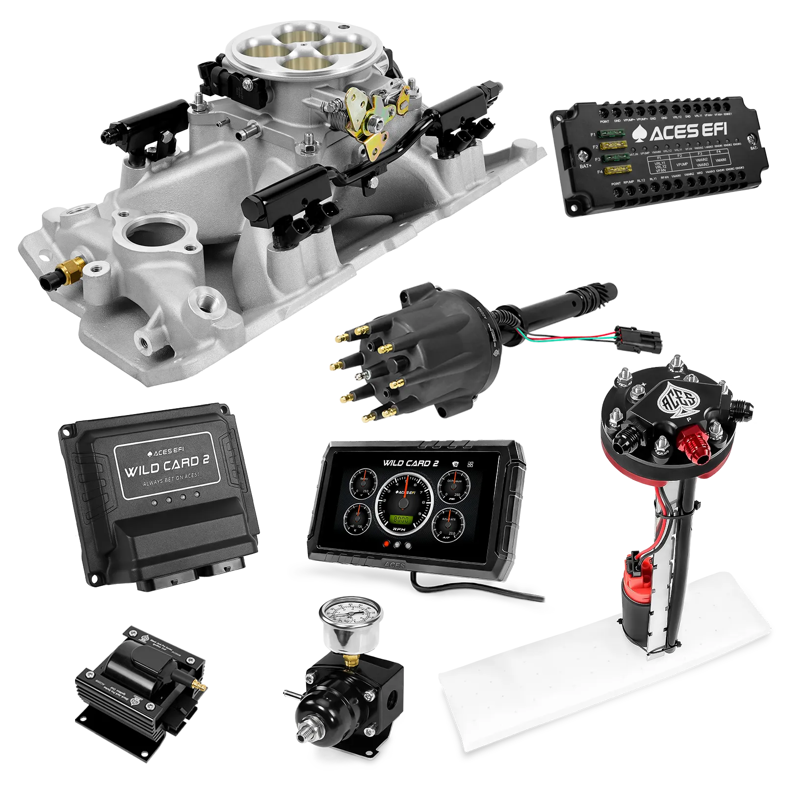 Kits maestros EFI secuenciales Wild Card 2 (800 CV)