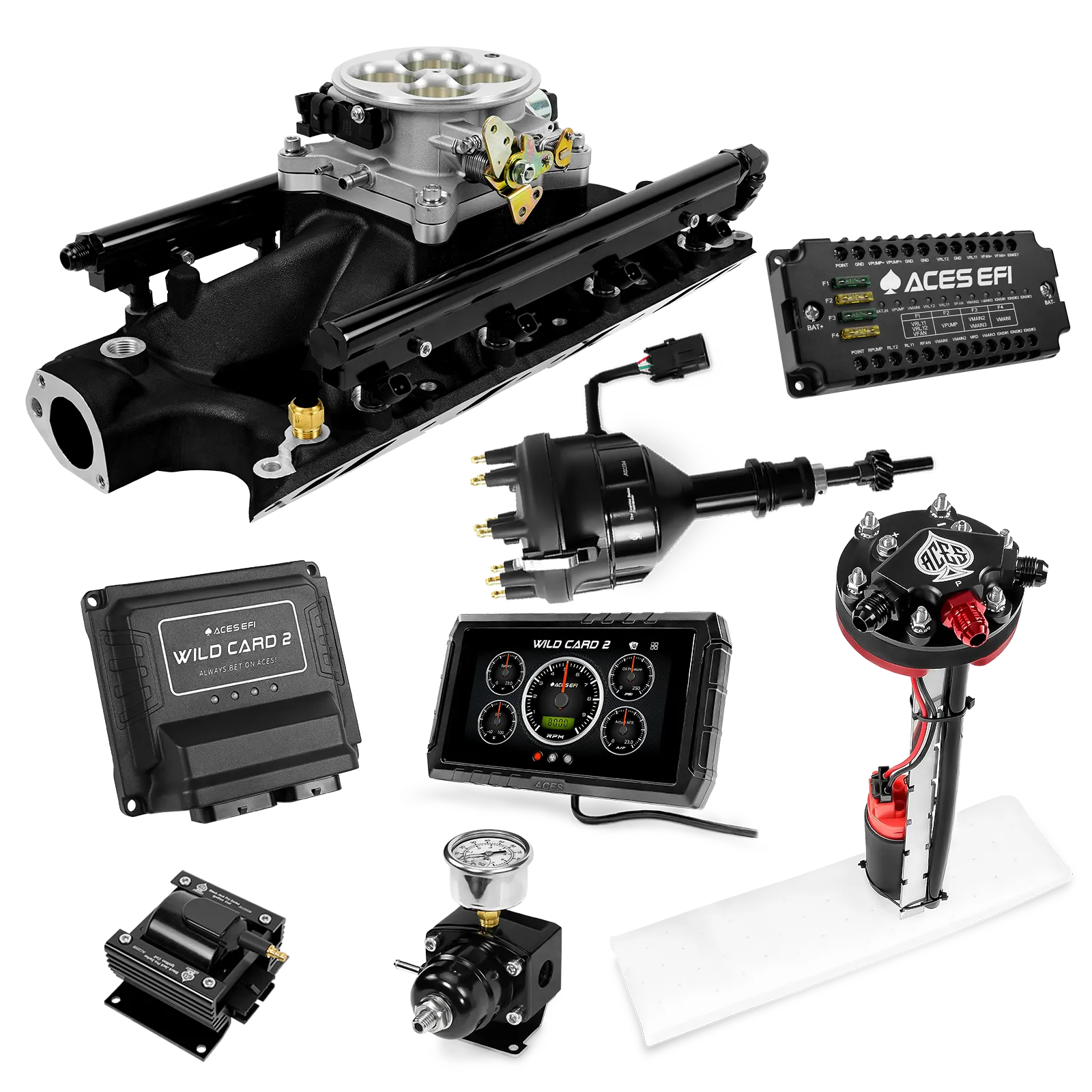 Kits maestros EFI secuenciales Wild Card 2 (800 CV)