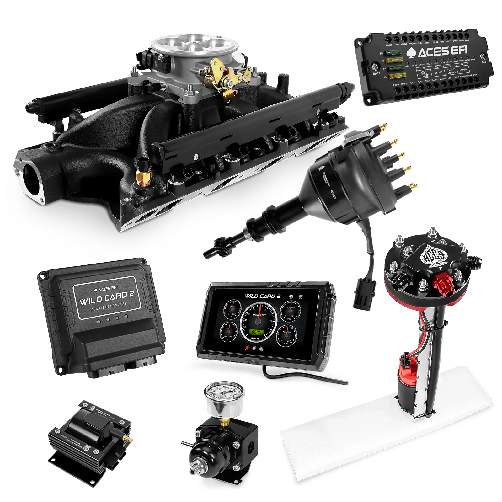 Kits maestros EFI secuenciales Wild Card 2 (800 CV)