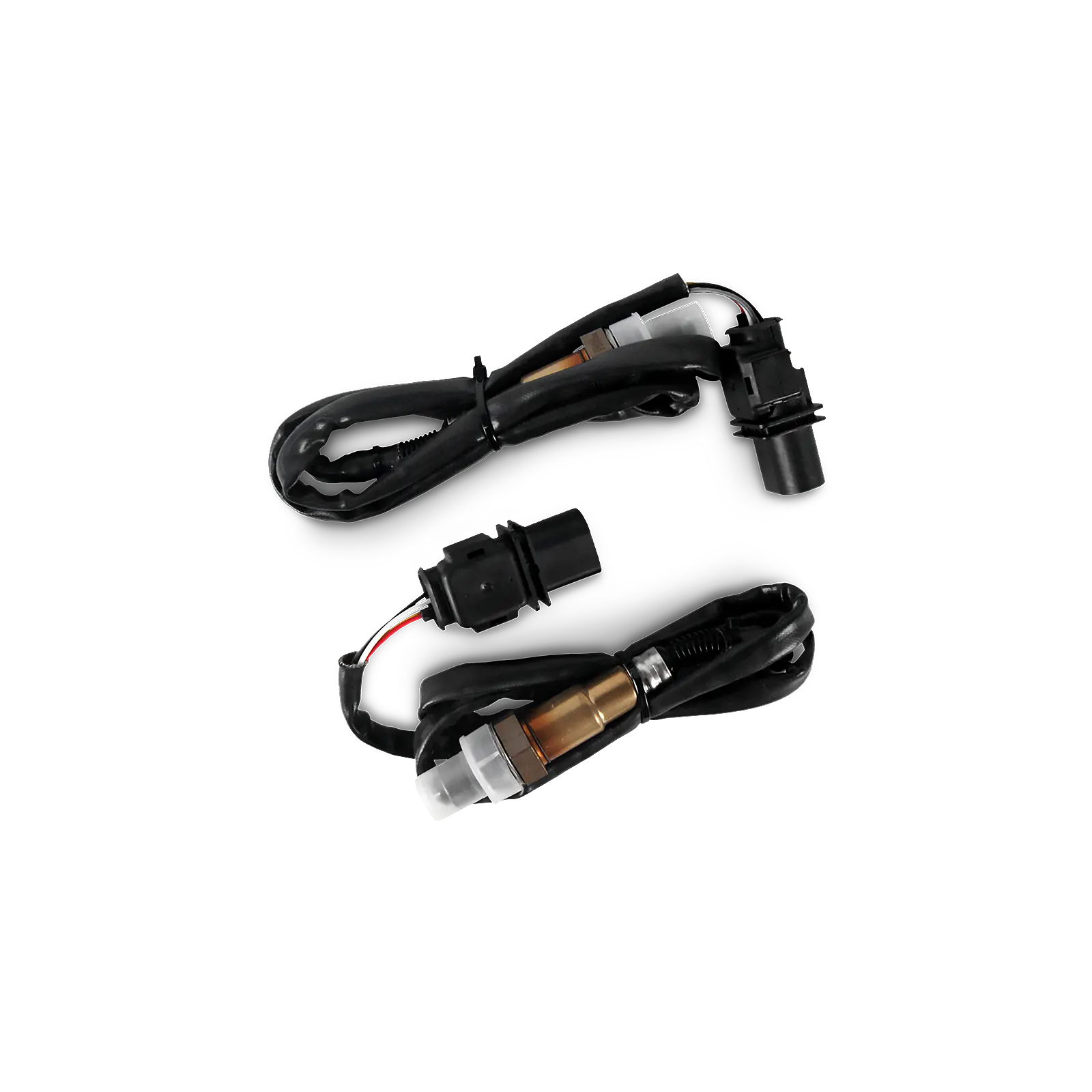 Jackpot LS Lite (Black Friday)