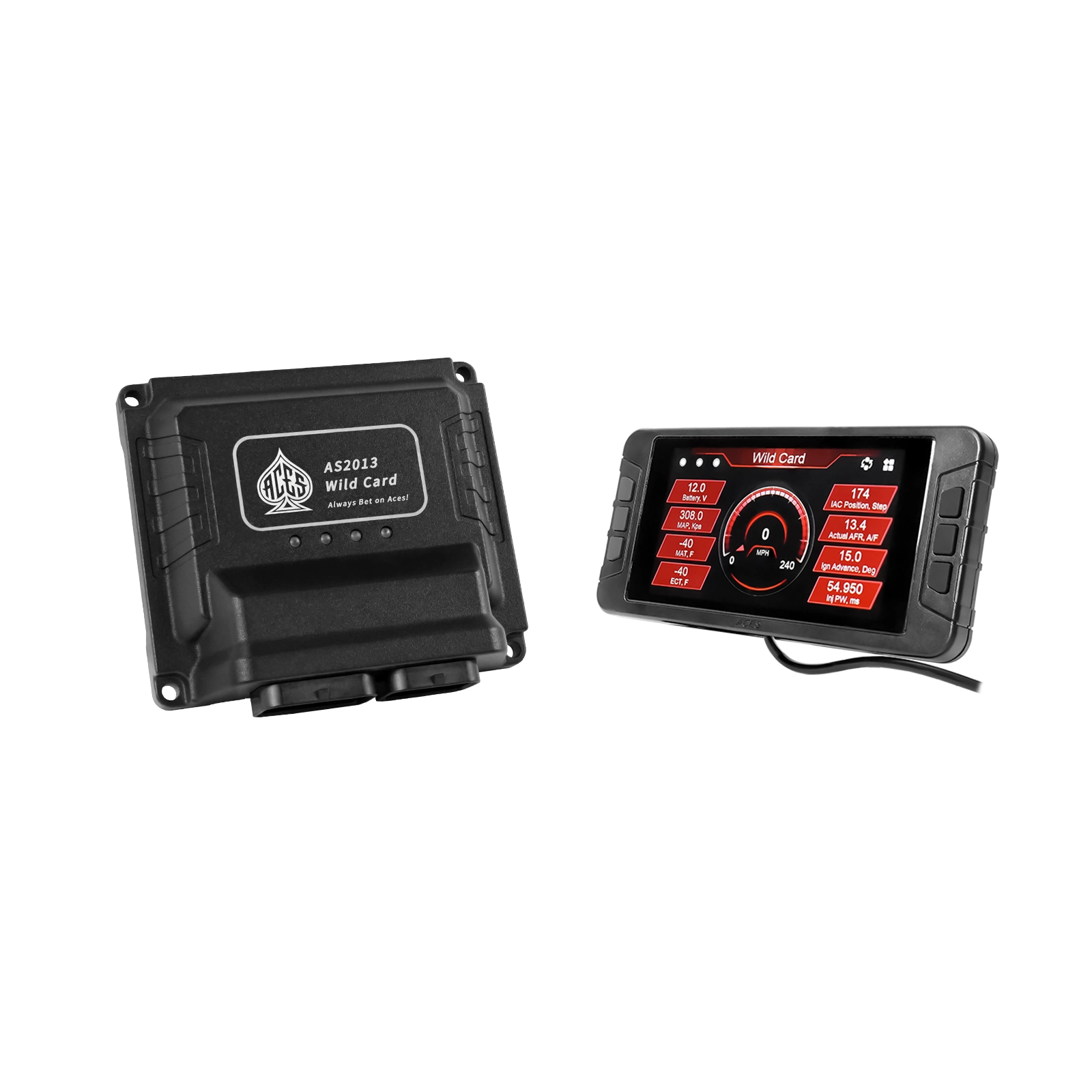 Wild Card EFI (Standalone)