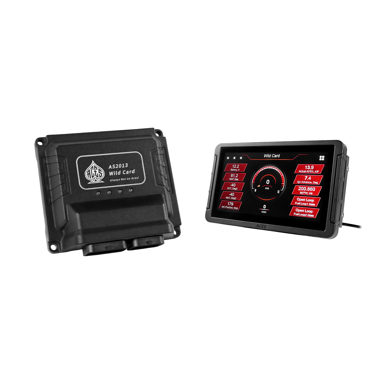 Wild Card EFI (Standalone)