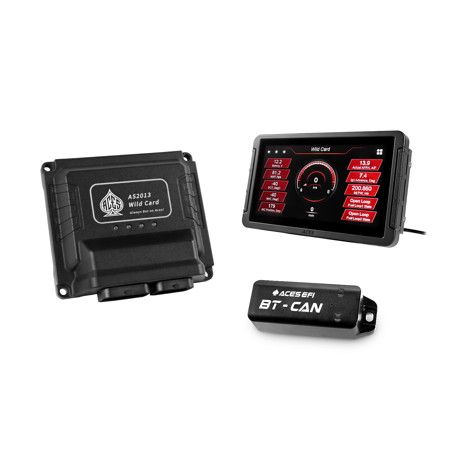 Wild Card 2 EFI (Standalone)