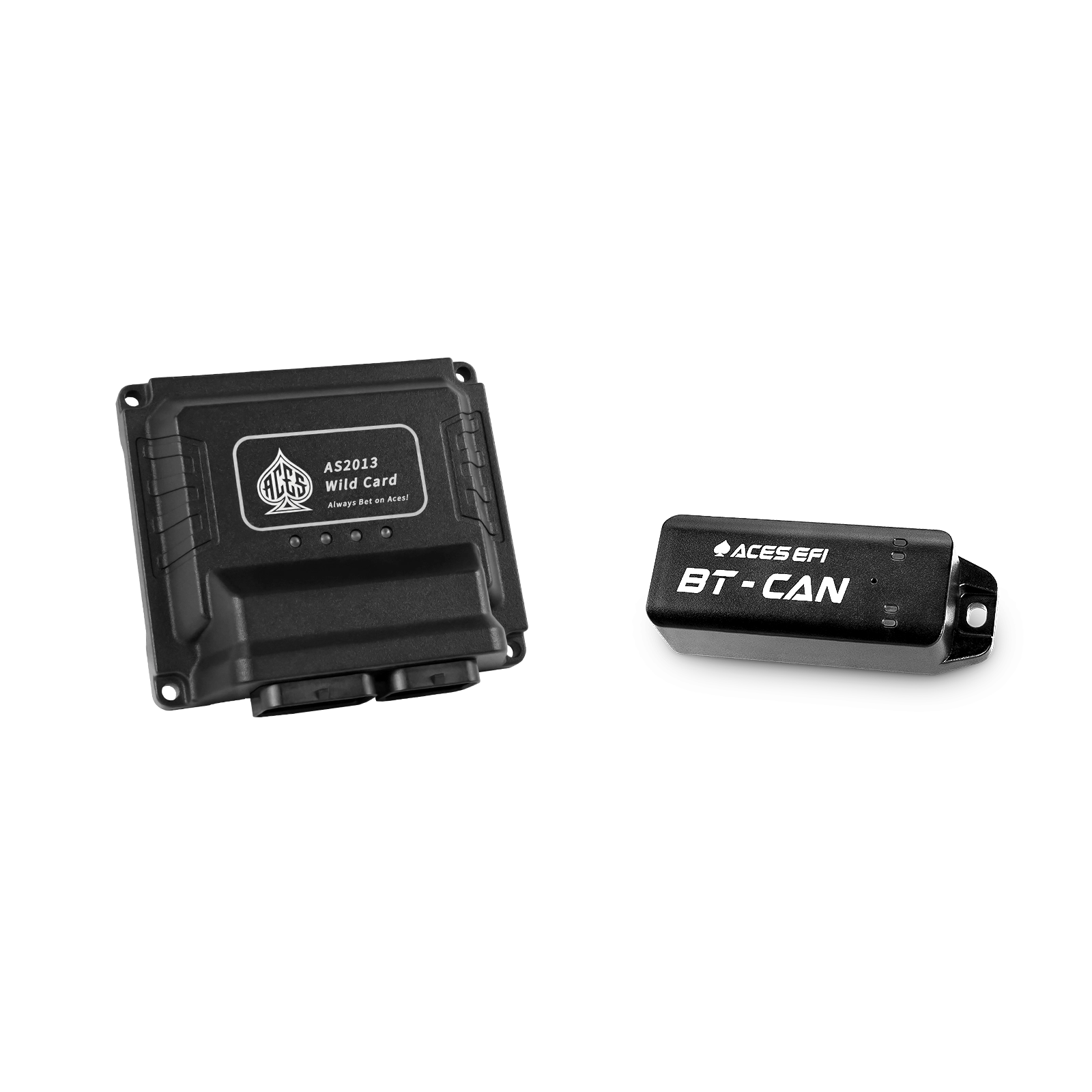 Wild Card EFI (Standalone)