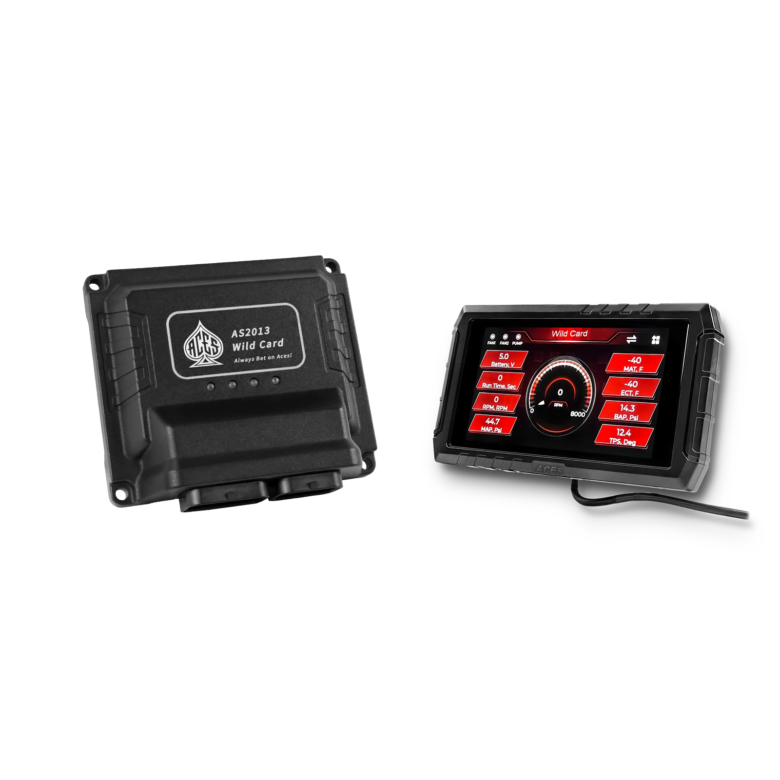 Wild Card EFI (Standalone)