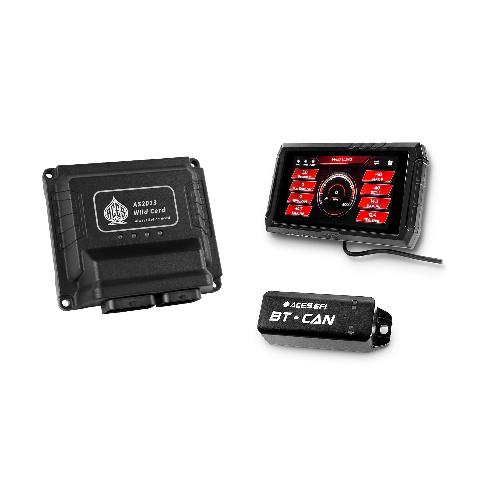 Wild Card 2 EFI (Standalone)