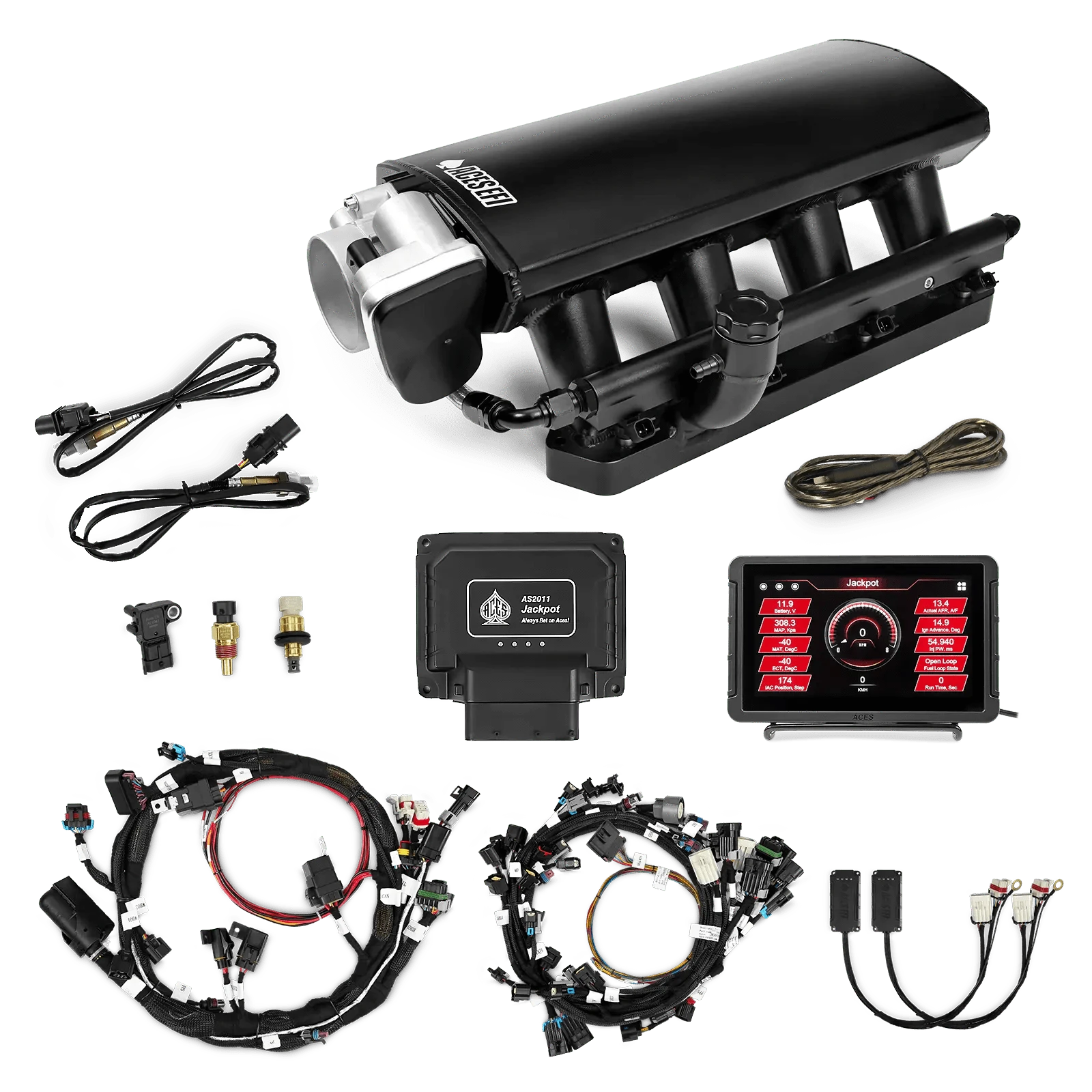 Aces Fuel Injection, Inc. Drive by Cable & Drive by Wire / 800 HP / Early Model Jackpot Hemi EFI Top End Kits