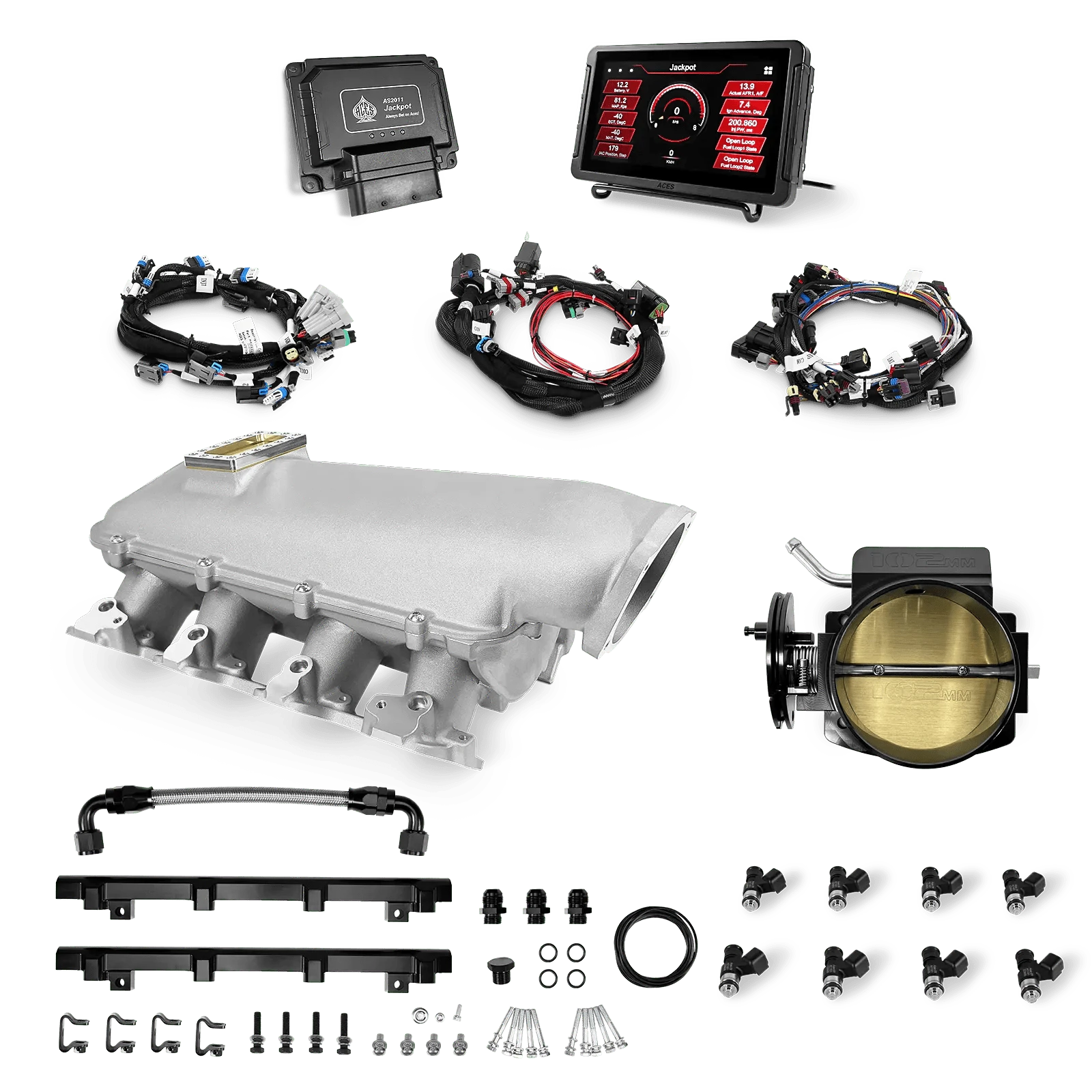 Aces Fuel Injection, Inc. Jackpot LS - DBC & Manual Trans / Cathedral Port / Lo-Ram (cast) Jackpot LS EFI System - Top End Kit (800 HP)