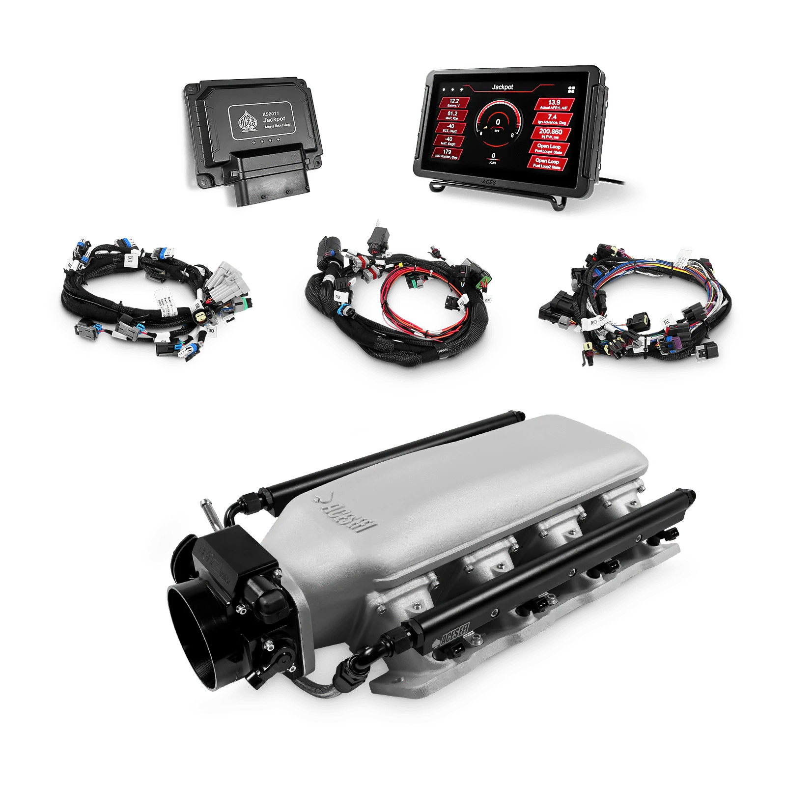 Aces Fuel Injection, Inc. Jackpot LS - DBC & Manual Trans / Cathedral Port / Low-Ram Gambler's Edge (cast) Jackpot LS EFI System - Top End Kit (800 HP)