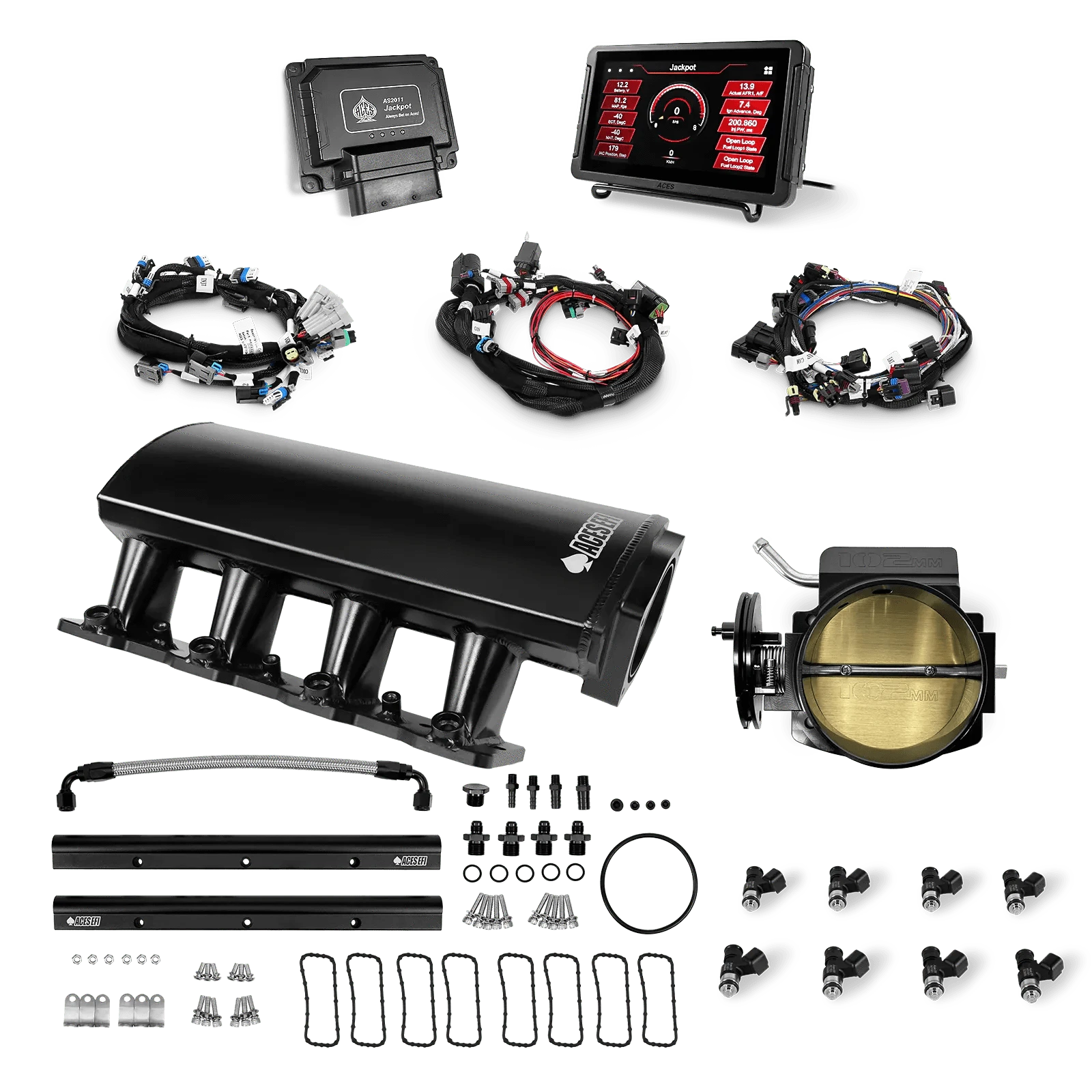 Aces Fuel Injection, Inc. Jackpot LS - DBC & Manual Trans / Cathedral Port / Short (fabricated) Jackpot LS EFI System - Top End Kit (800 HP)