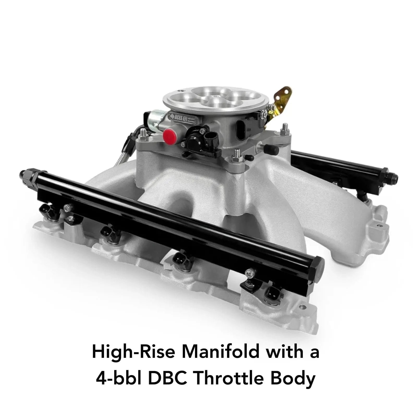 Aces Fuel Injection, Inc. Jackpot LS EFI System - Top End Kit (500 HP)