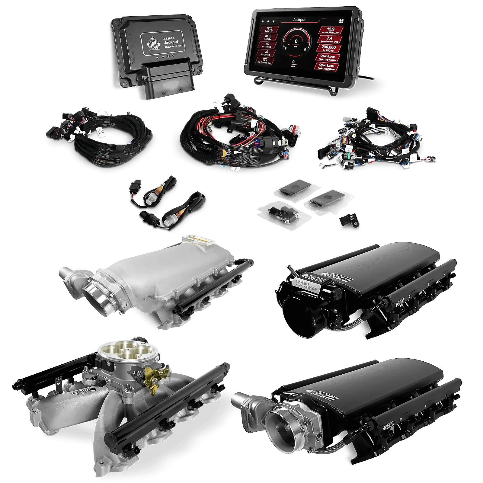 Aces Fuel Injection, Inc. Jackpot LS EFI System - Top End Kit (500 HP)