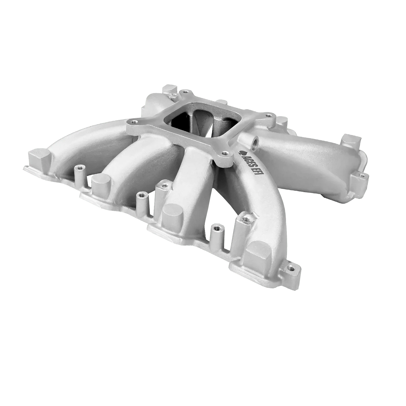 Aces Fuel Injection, Inc. Jackpot LS EFI TBI System - Top End Kits