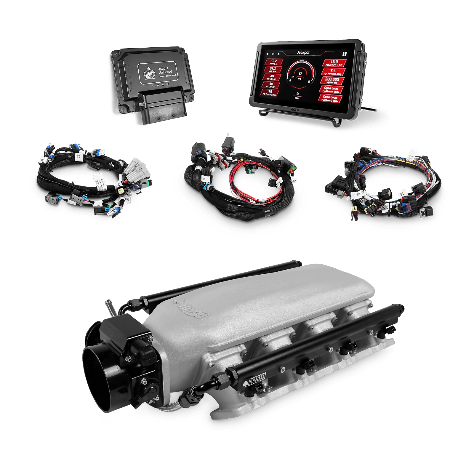 Aces Fuel Injection, Inc. Jackpot Pro LS - DBC & Trans Control / Rectangle Port / Low-Ram Gambler's Edge (cast) Jackpot LS EFI System - Top End Kit (800 HP)