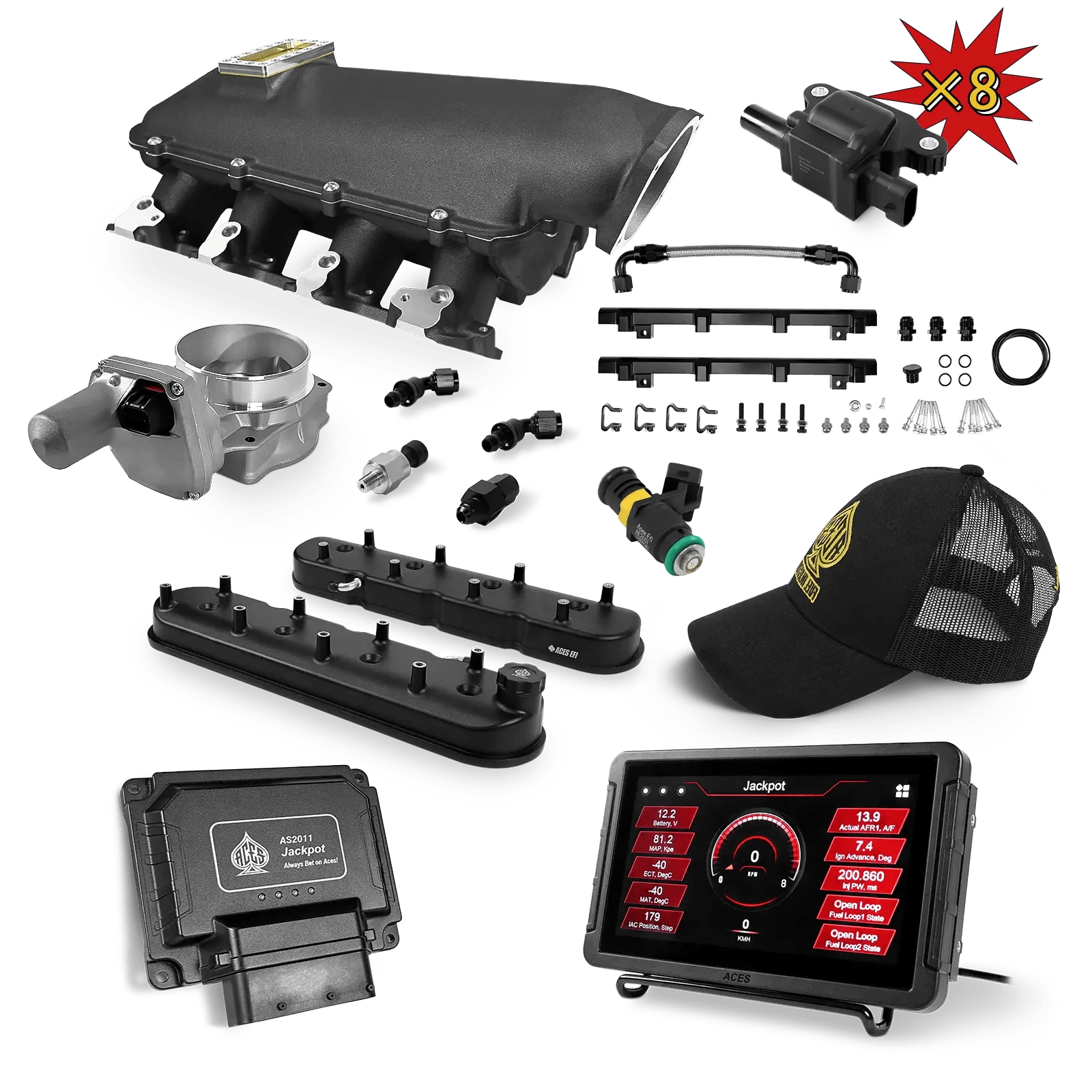 Aces Fuel Injection, Inc. Jackpot Pro LS - DBW & Manual Trans / Cathedral Port / Lo-Ram (black/cast) Jackpot LS Super Kit (800 HP)