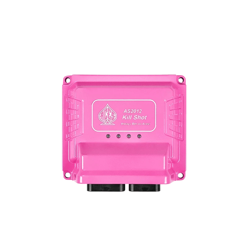 Aces Fuel Injection, Inc. Killshot EFI - Pink for Breast Cancer Awareness