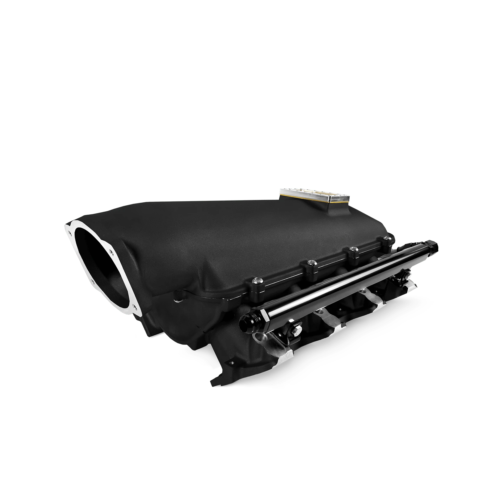 Aces Fuel Injection, Inc. Low-Ram, Cast, 102mm LS Intake Manifold