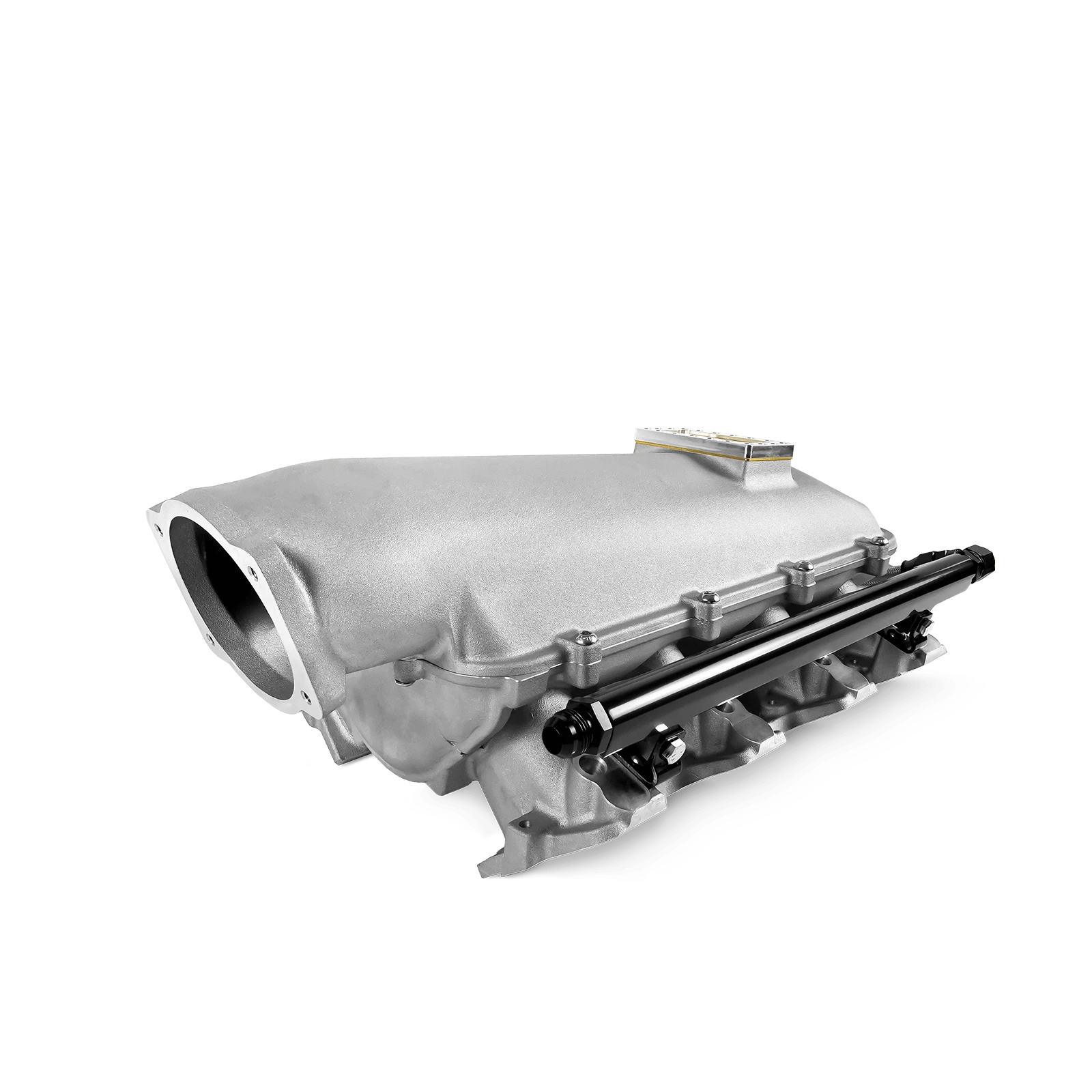 Aces Fuel Injection, Inc. Low-Ram, Cast, 102mm LS Intake Manifold