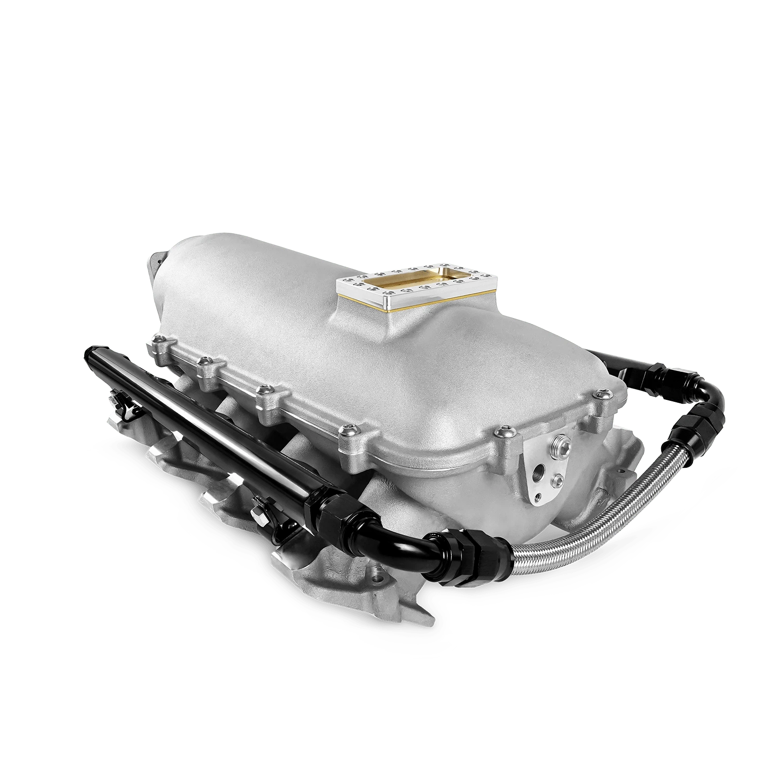 Aces Fuel Injection, Inc. Low-Ram, Cast, 102mm LS Intake Manifold