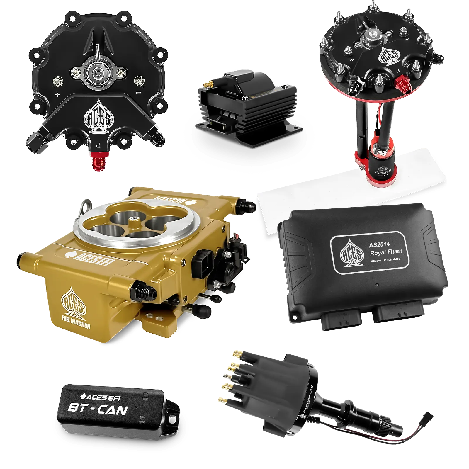 Royal Flush Master Kits (Gold)
