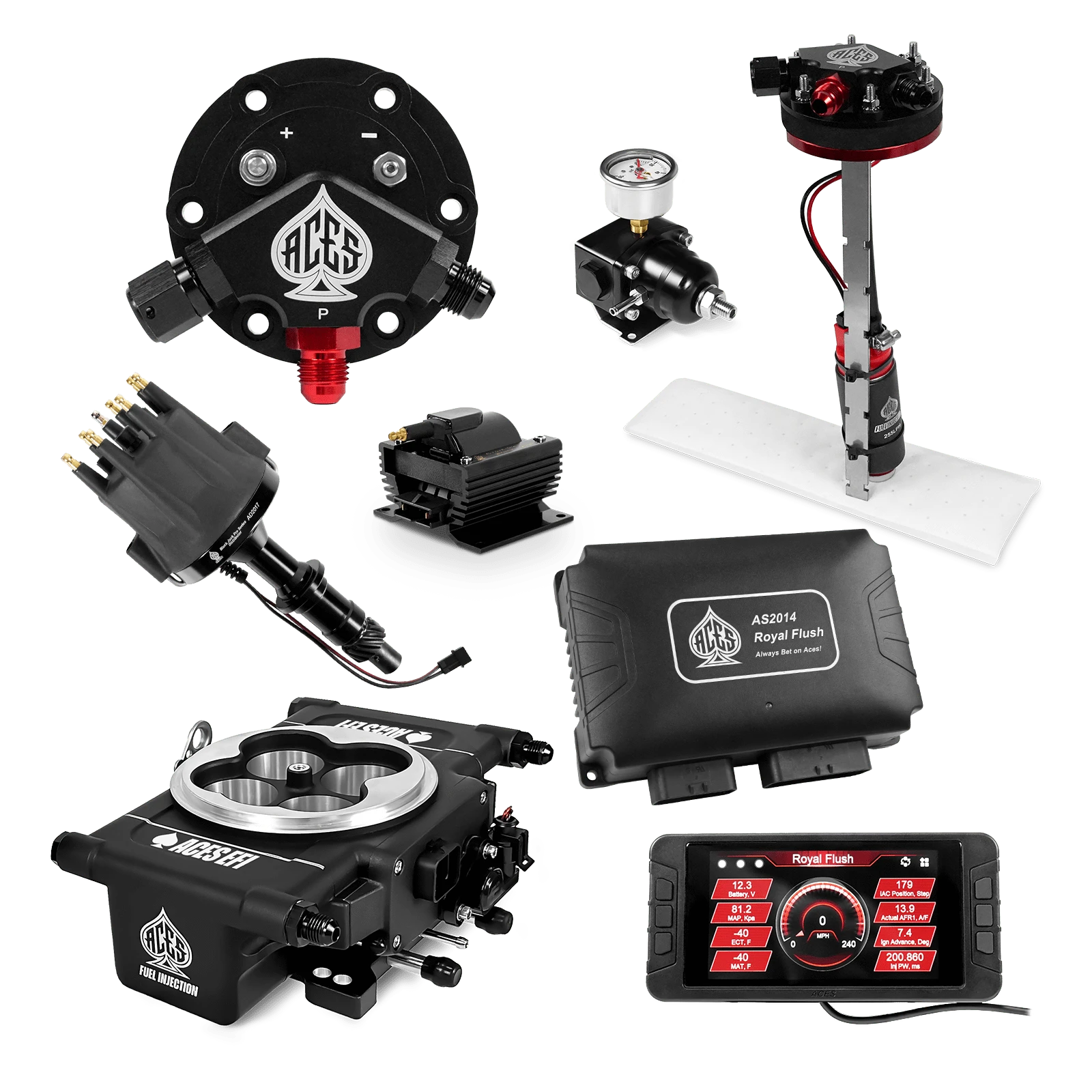 Aces Fuel Injection Tight Fit In-tank Pump Module (255 LPH) / Pontiac 326-455 Royal Flush EFI/CDI Master Kits (Black)