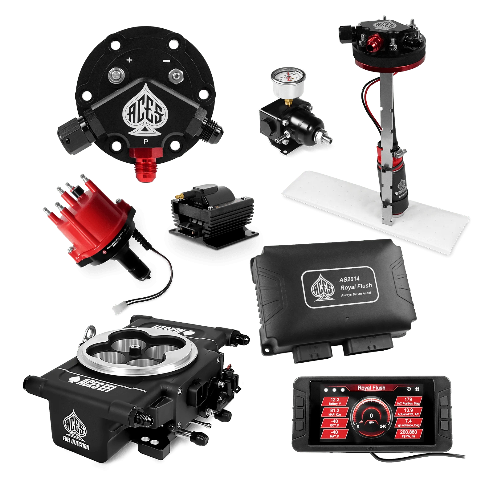 Aces Fuel Injection Tight Fit In-tank Pump Module (255 LPH) / VW Type 1 Royal Flush EFI/CDI Master Kits (Black)